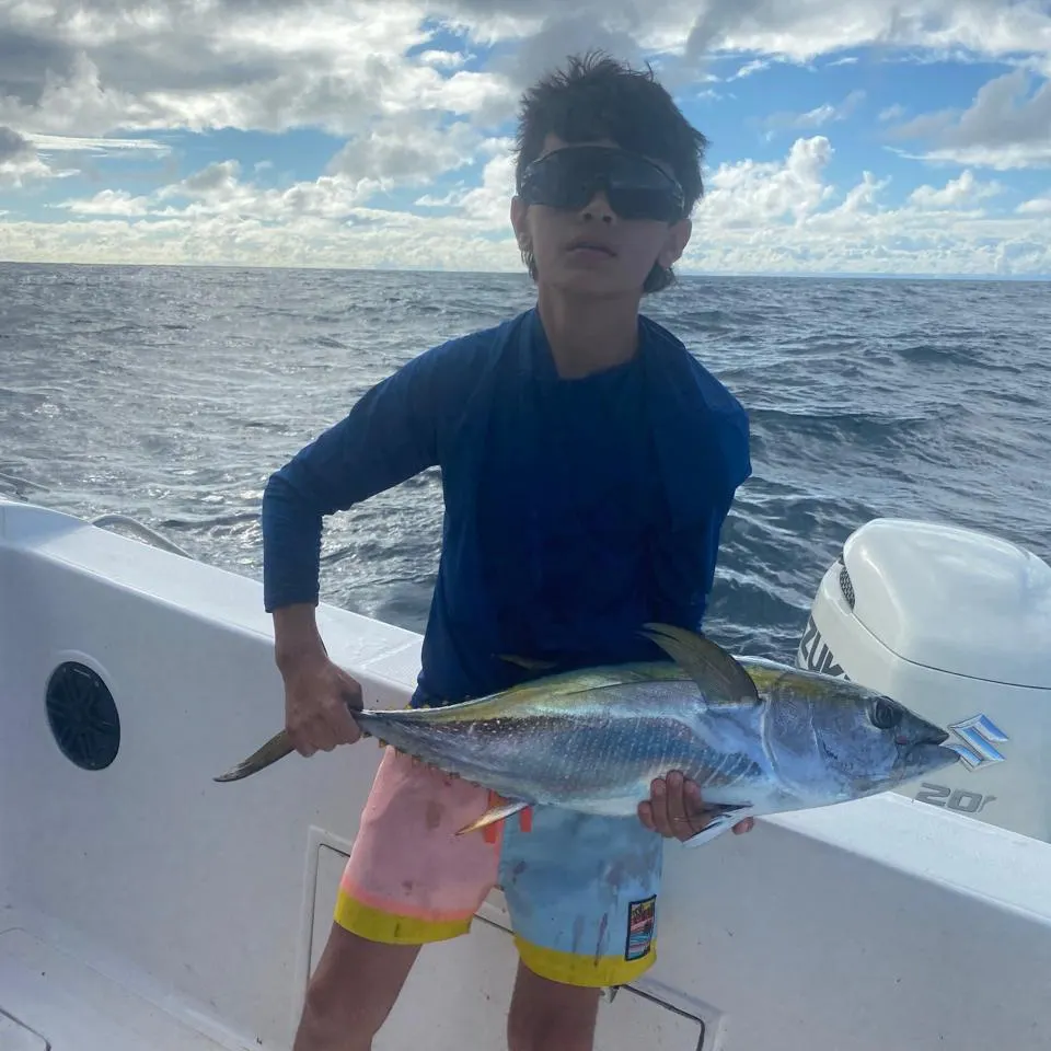 The most recent Yellowfin tuna catches on Fishbrain