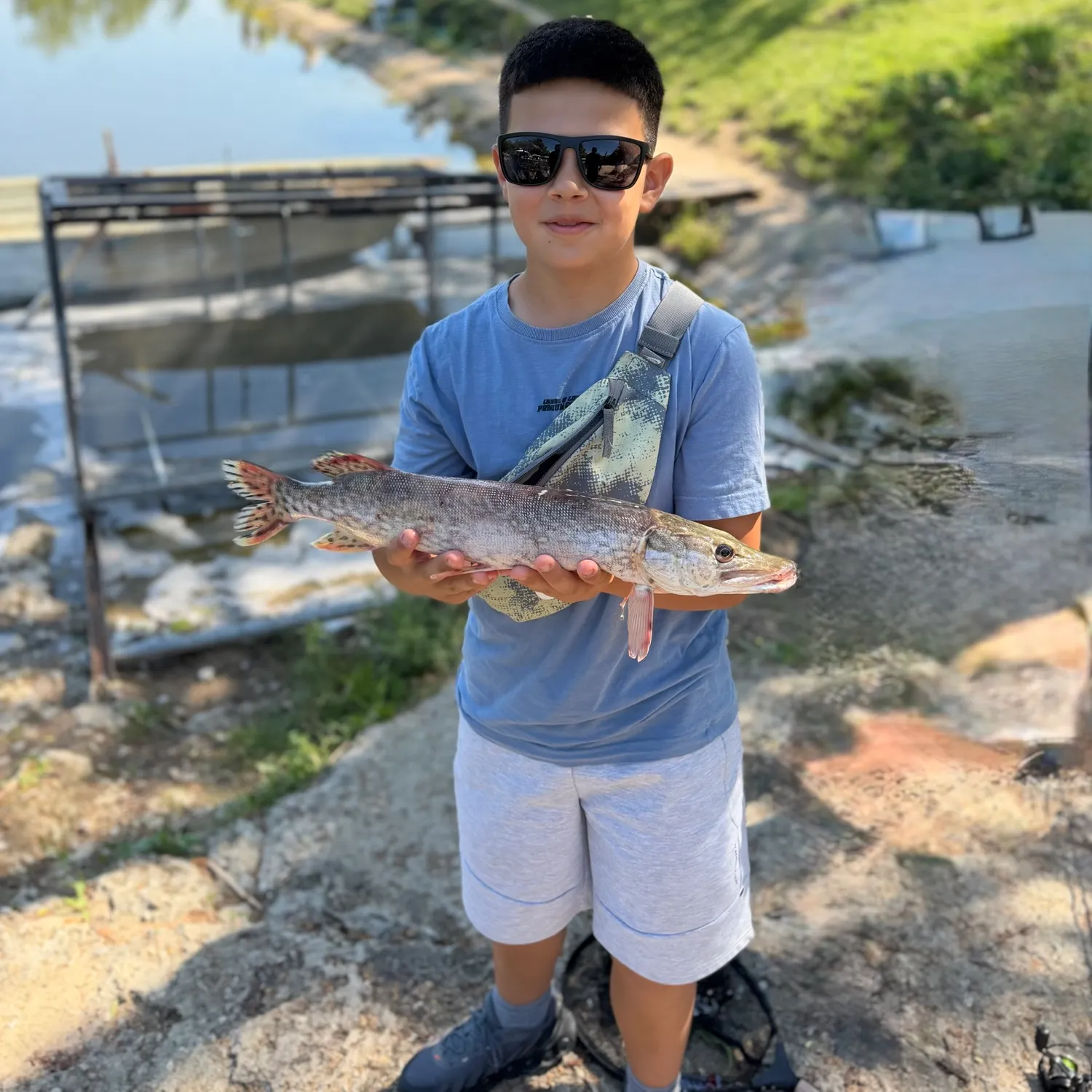 Northern pike caught on Fishbrain