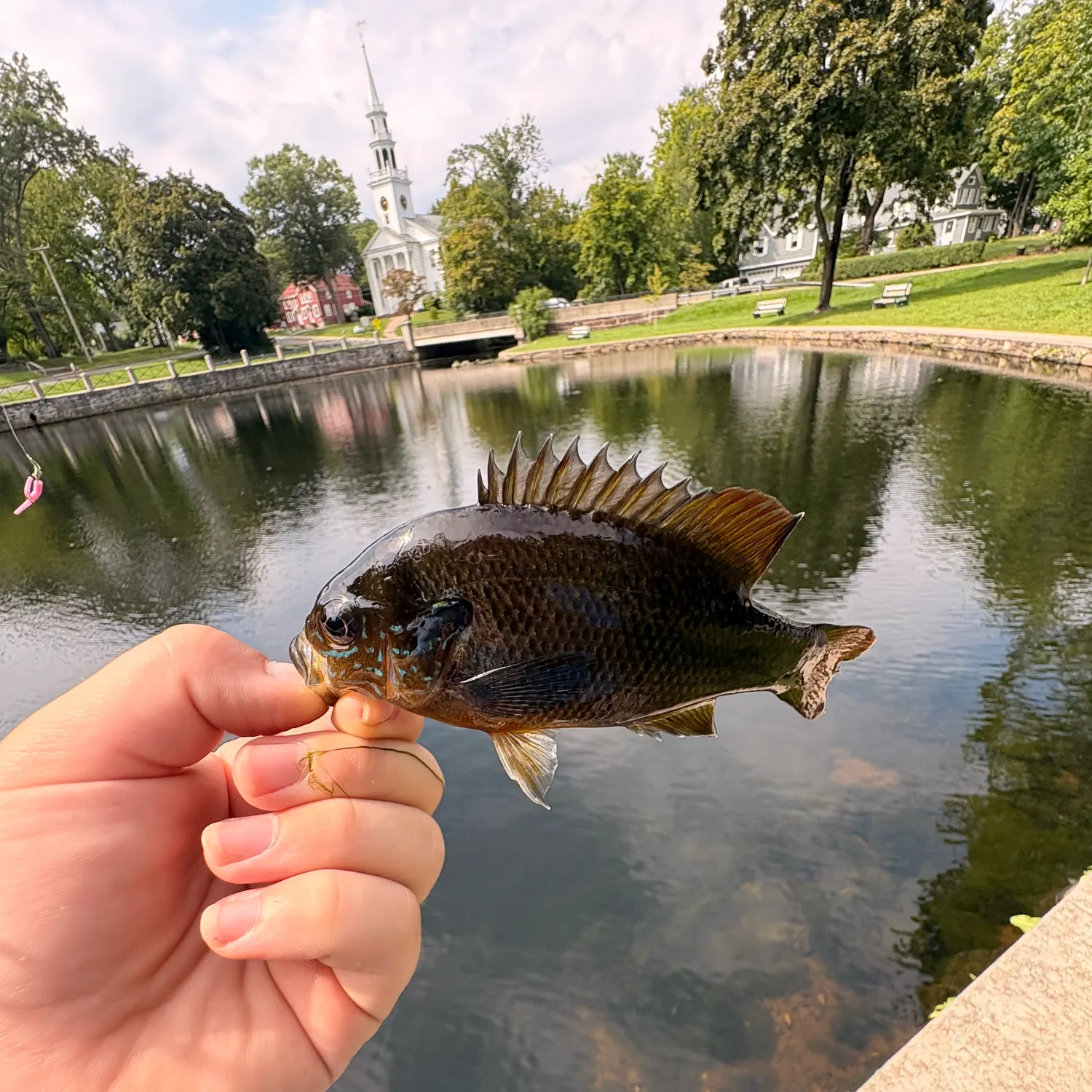 catch