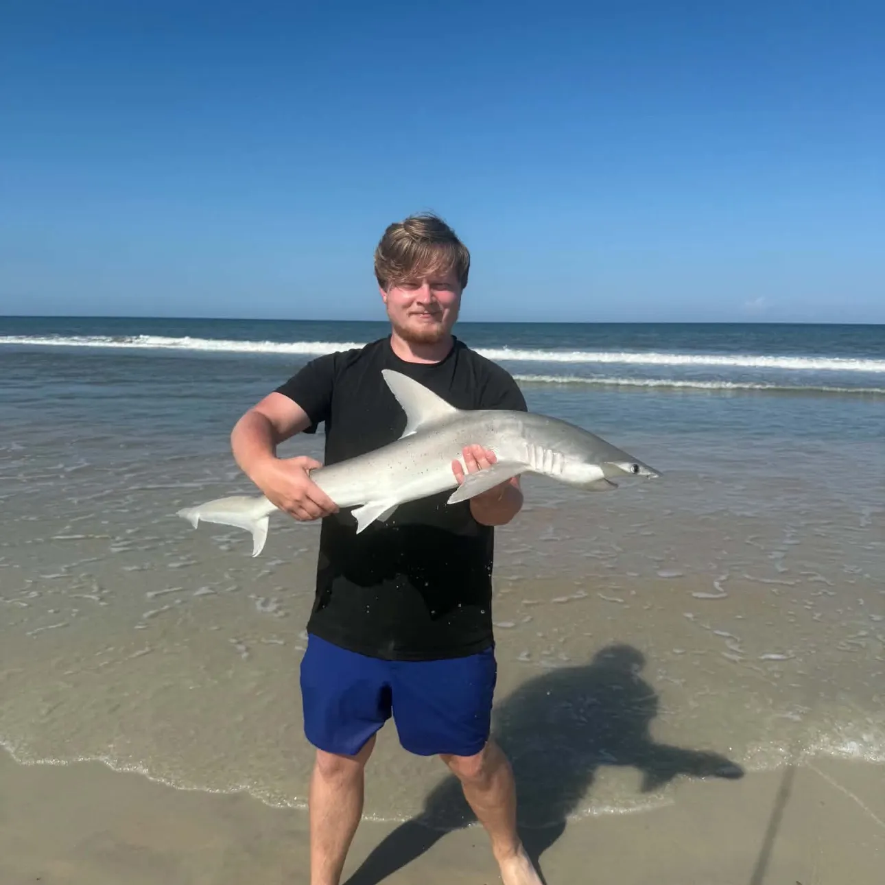 Bonnethead shark caught on Fishbrain