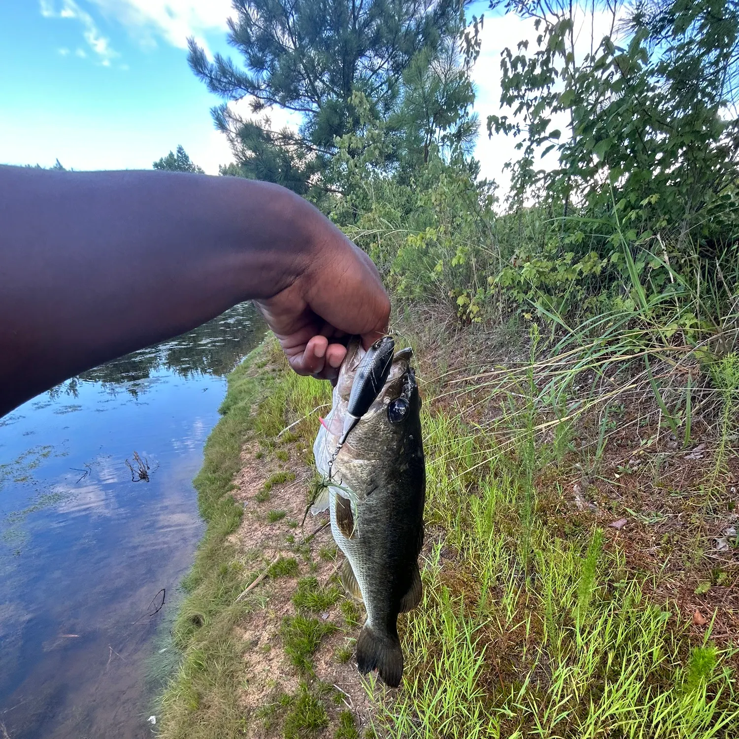 angler catch
