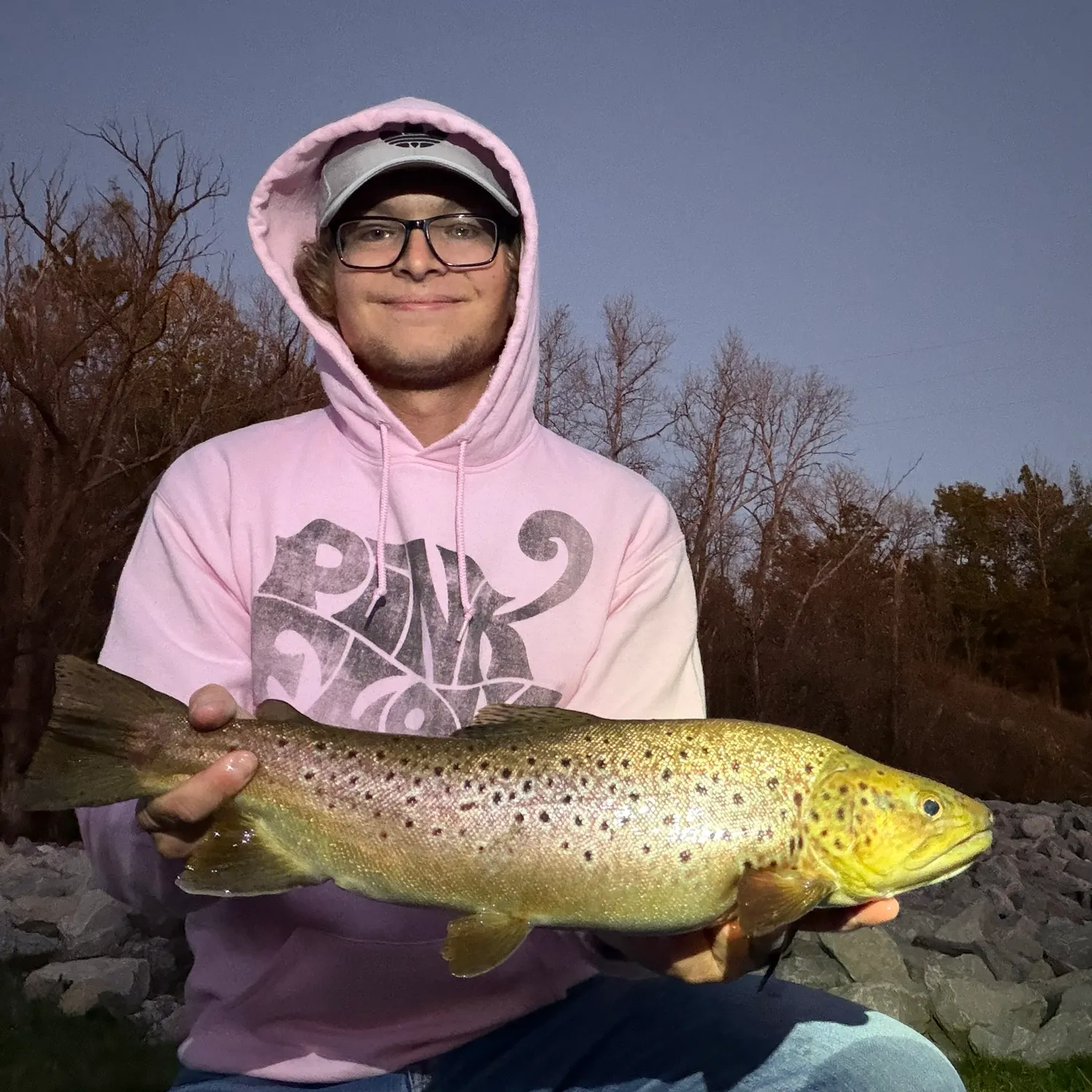Brown trout caught on Fishbrain