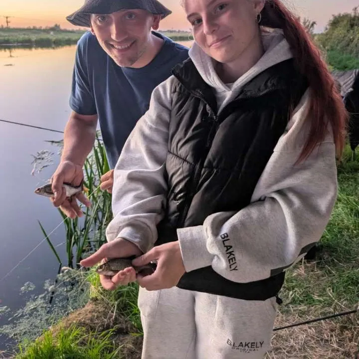 Common roach caught on Fishbrain