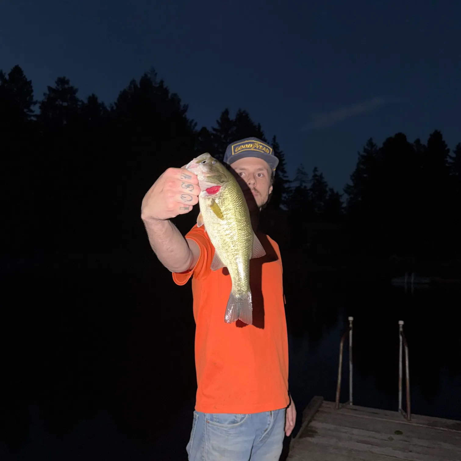 Largemouth bass caught on Fishbrain
