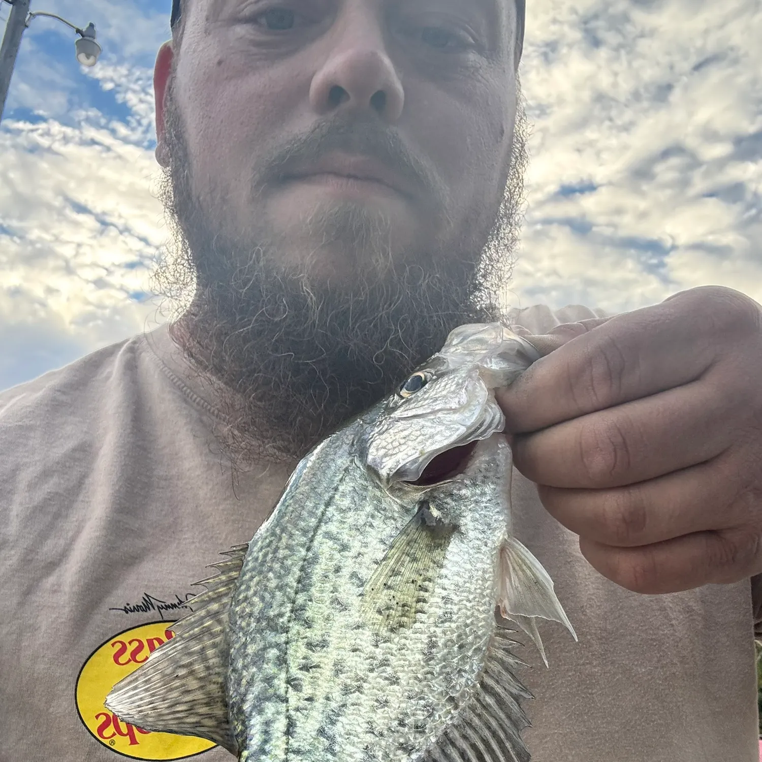 Black crappie caught on Fishbrain