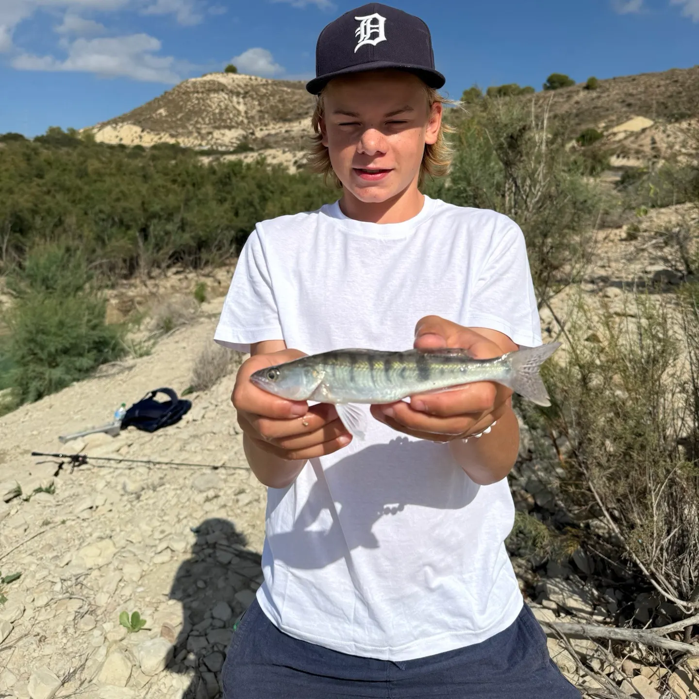 Zander caught on Fishbrain