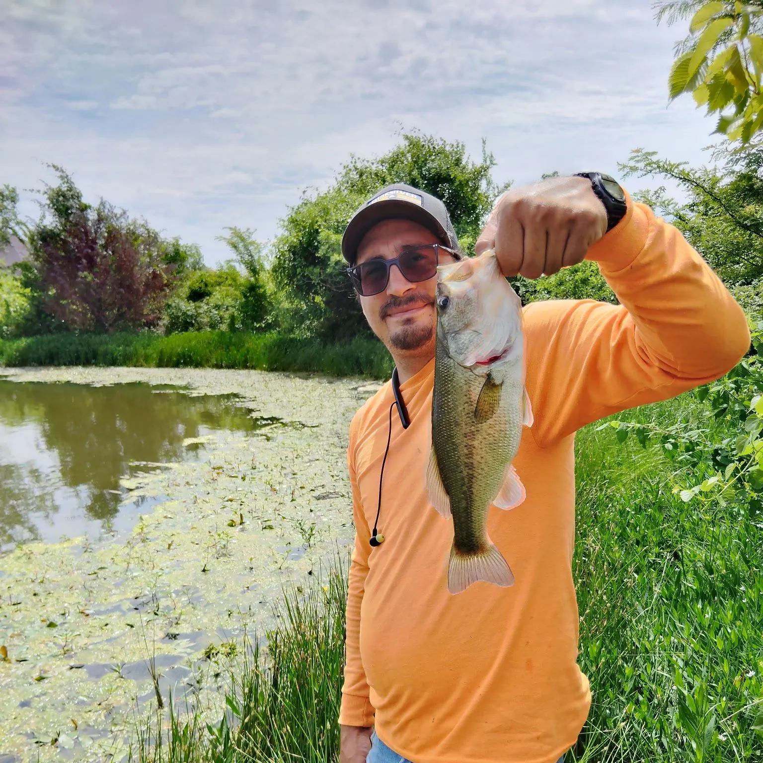 Largemouth bass caught on Fishbrain