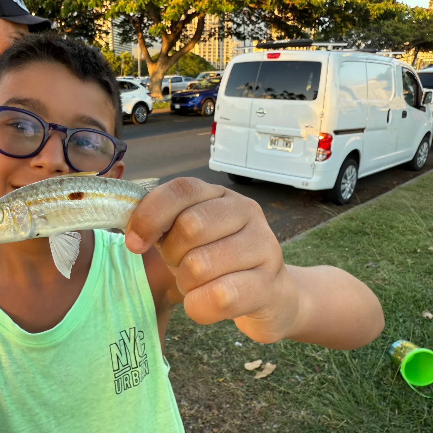 The most recent Goldsaddle goatfish catches on Fishbrain