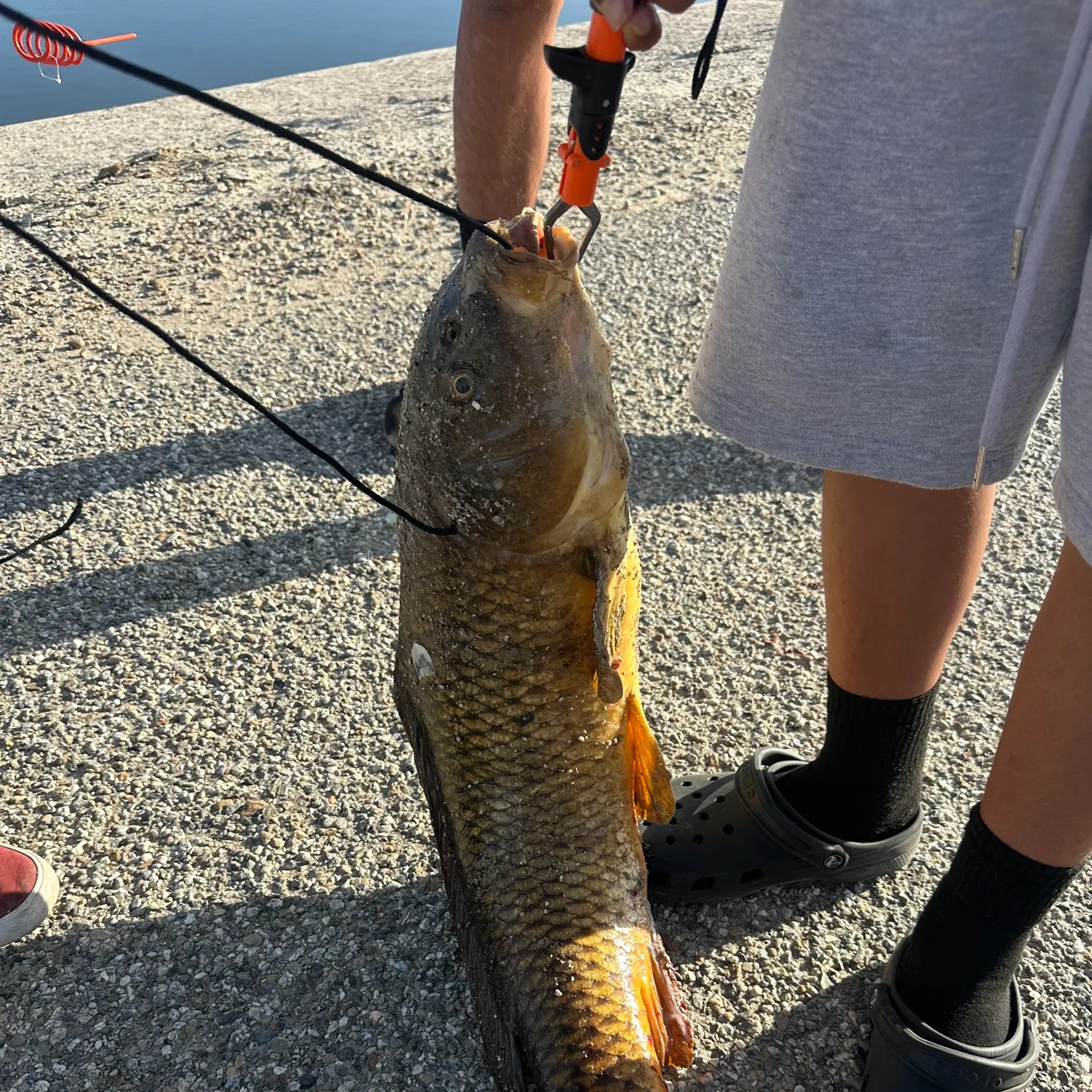 catch