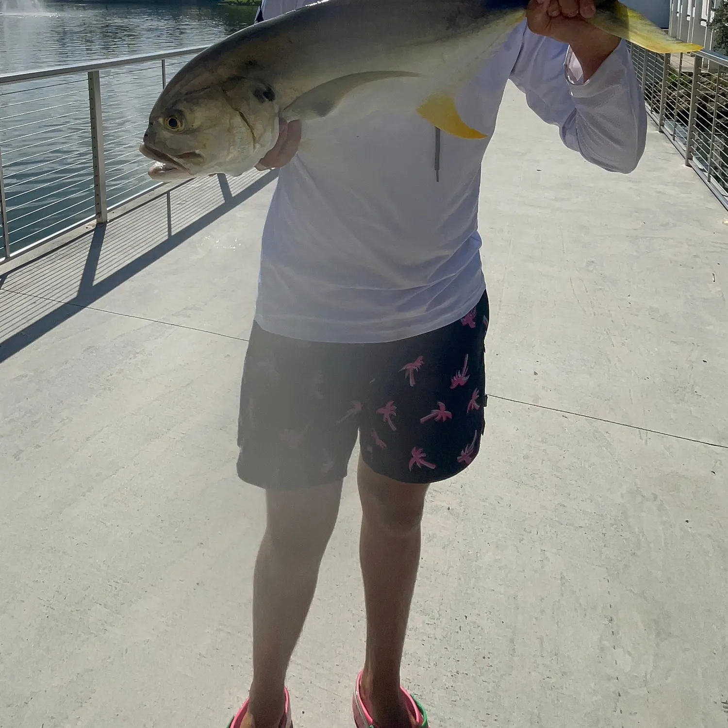 The most recent Crevalle jack catches on Fishbrain