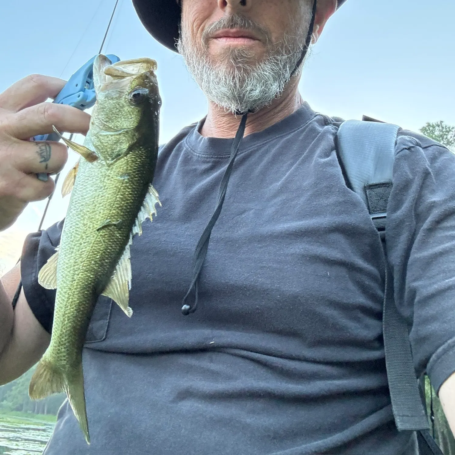 Largemouth bass caught on Fishbrain
