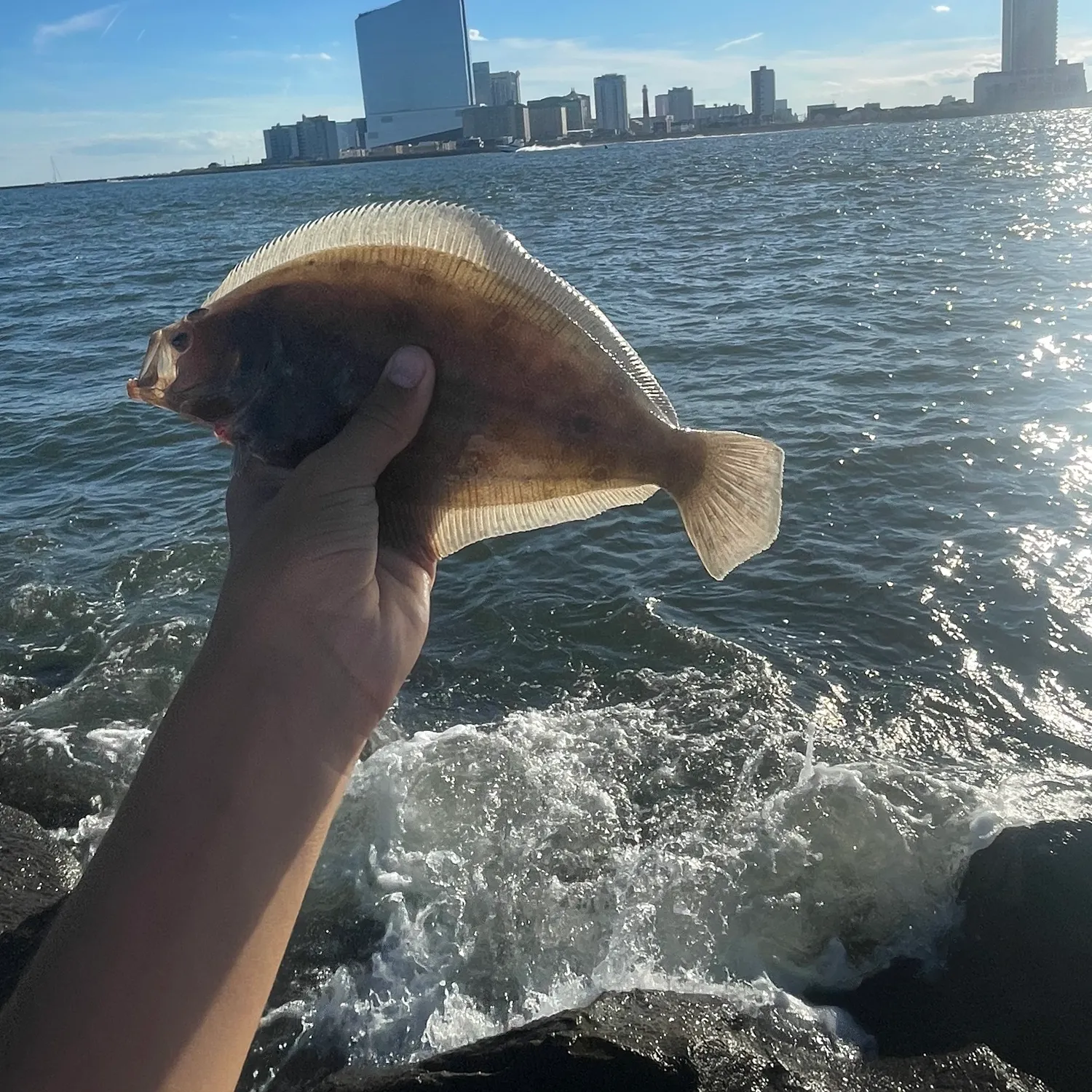 Summer flounder caught on Fishbrain
