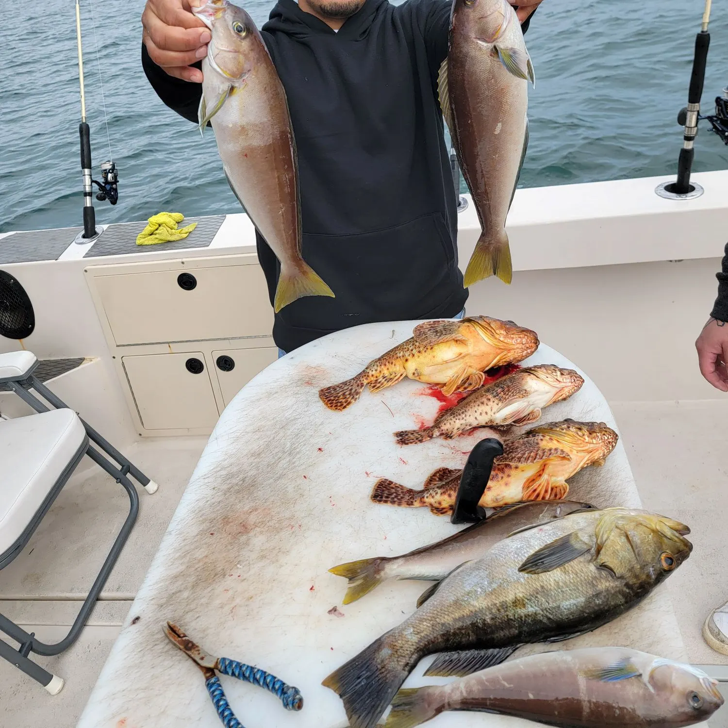 The most recent Ocean whitefish catches on Fishbrain