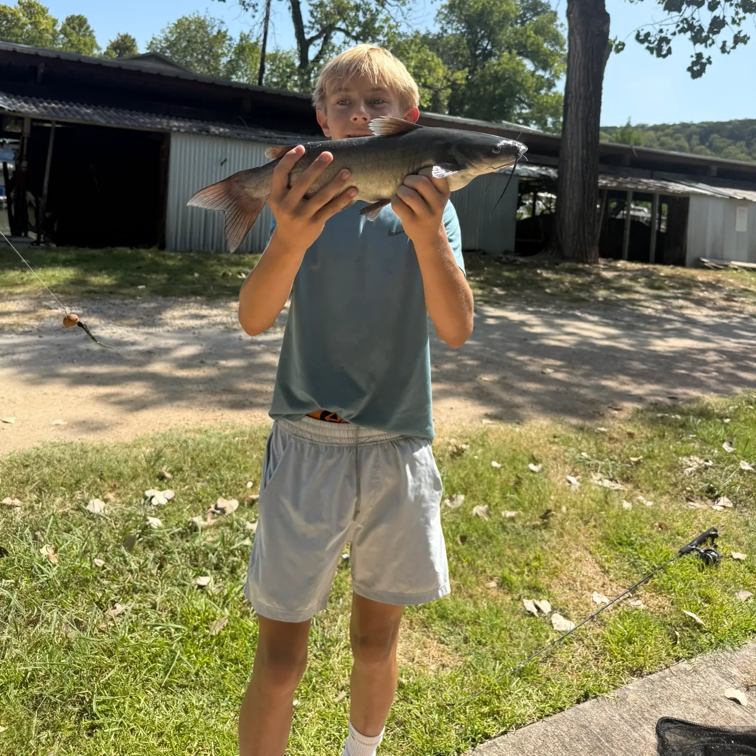 Channel catfish caught on Fishbrain