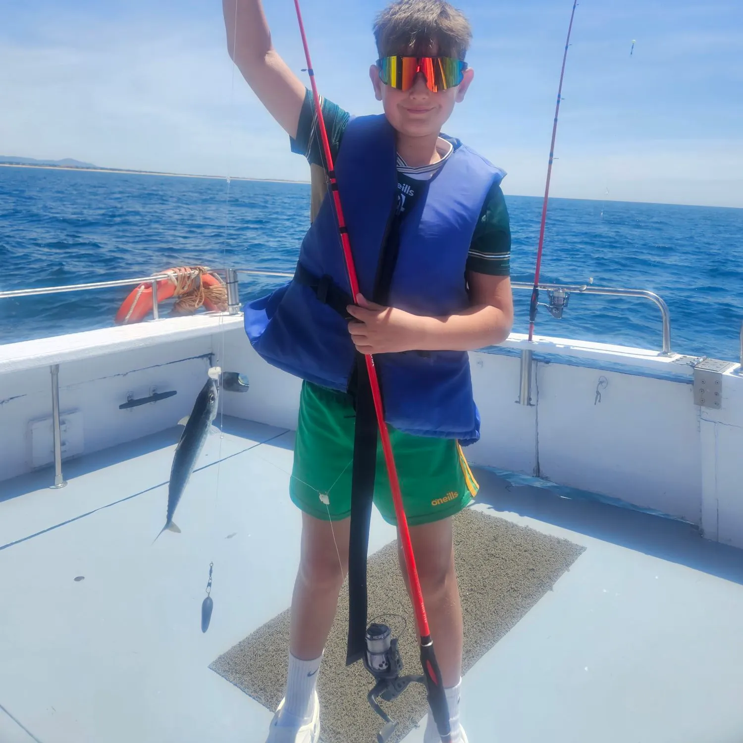 Atlantic mackerel caught on Fishbrain