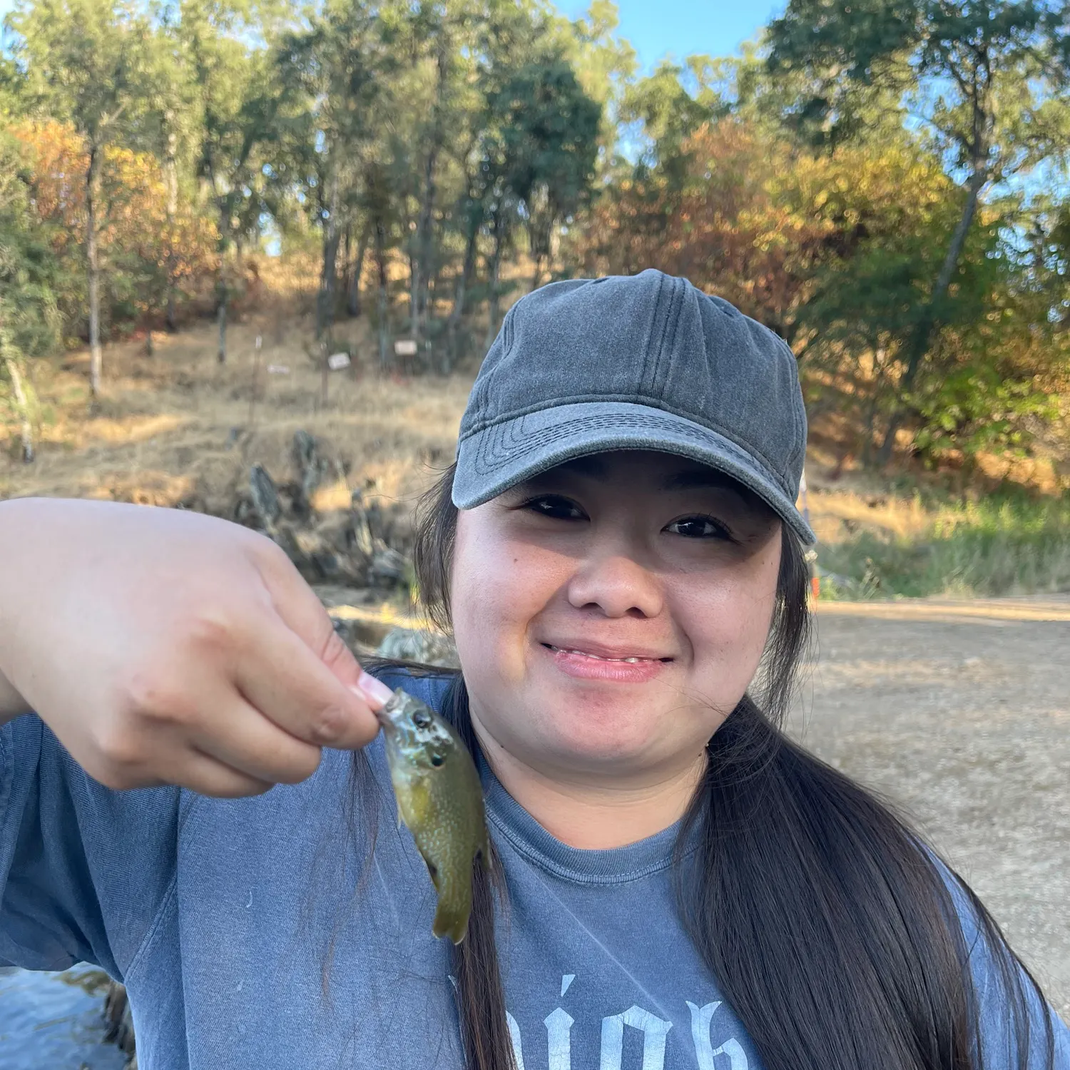 The most recent Bluegill catches on Fishbrain