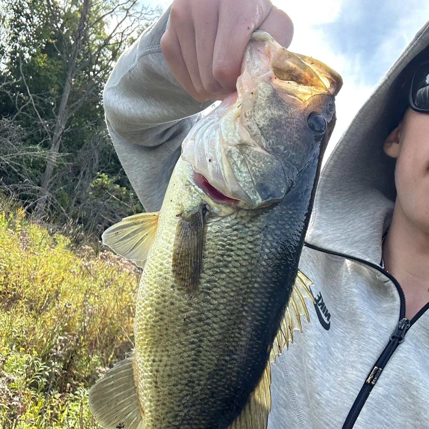 Largemouth bass caught on Fishbrain