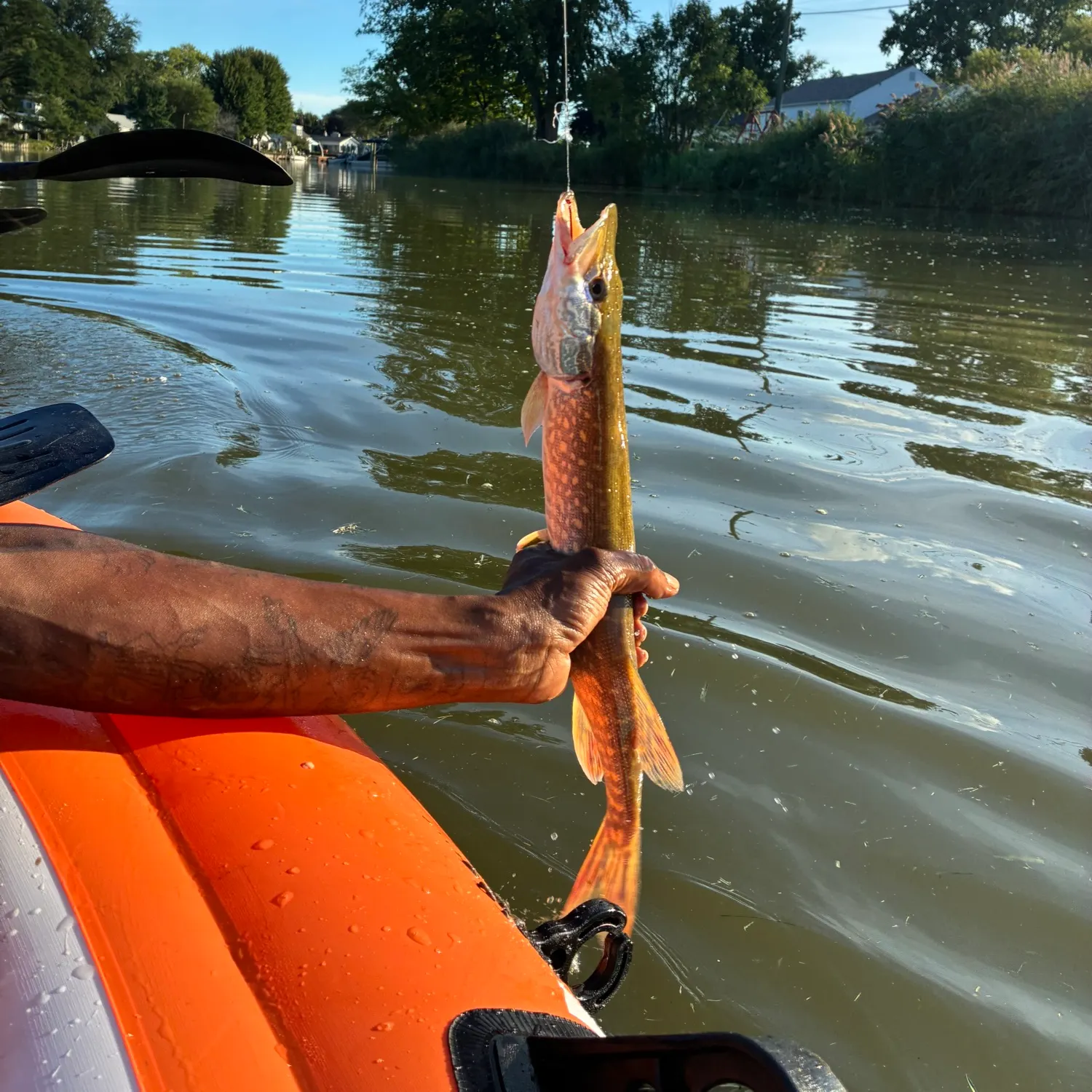 catch