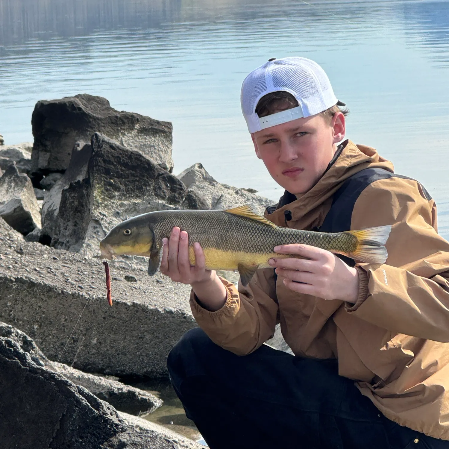 The most recent Sacramento sucker catches on Fishbrain