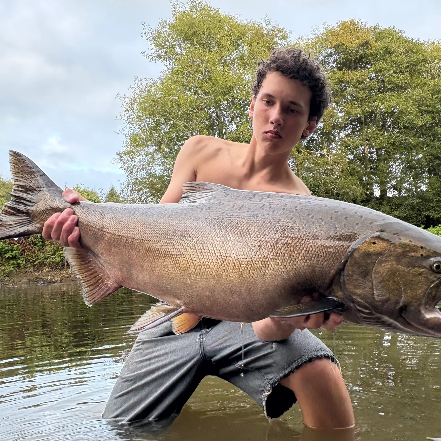 Chinook salmon caught on Fishbrain