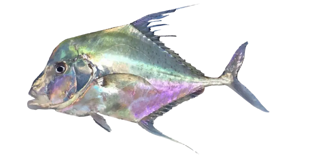 Indian threadfish