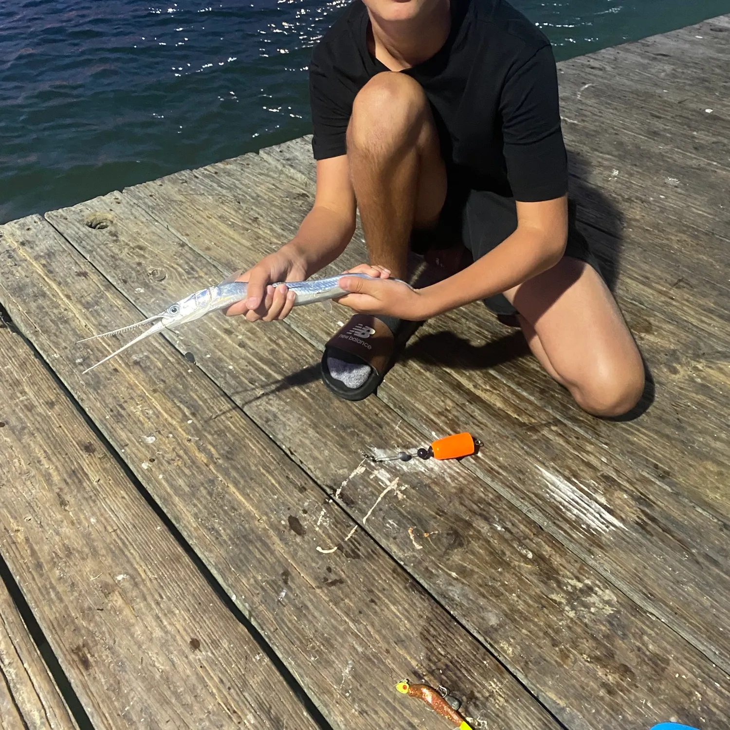 Hound needlefish caught on Fishbrain