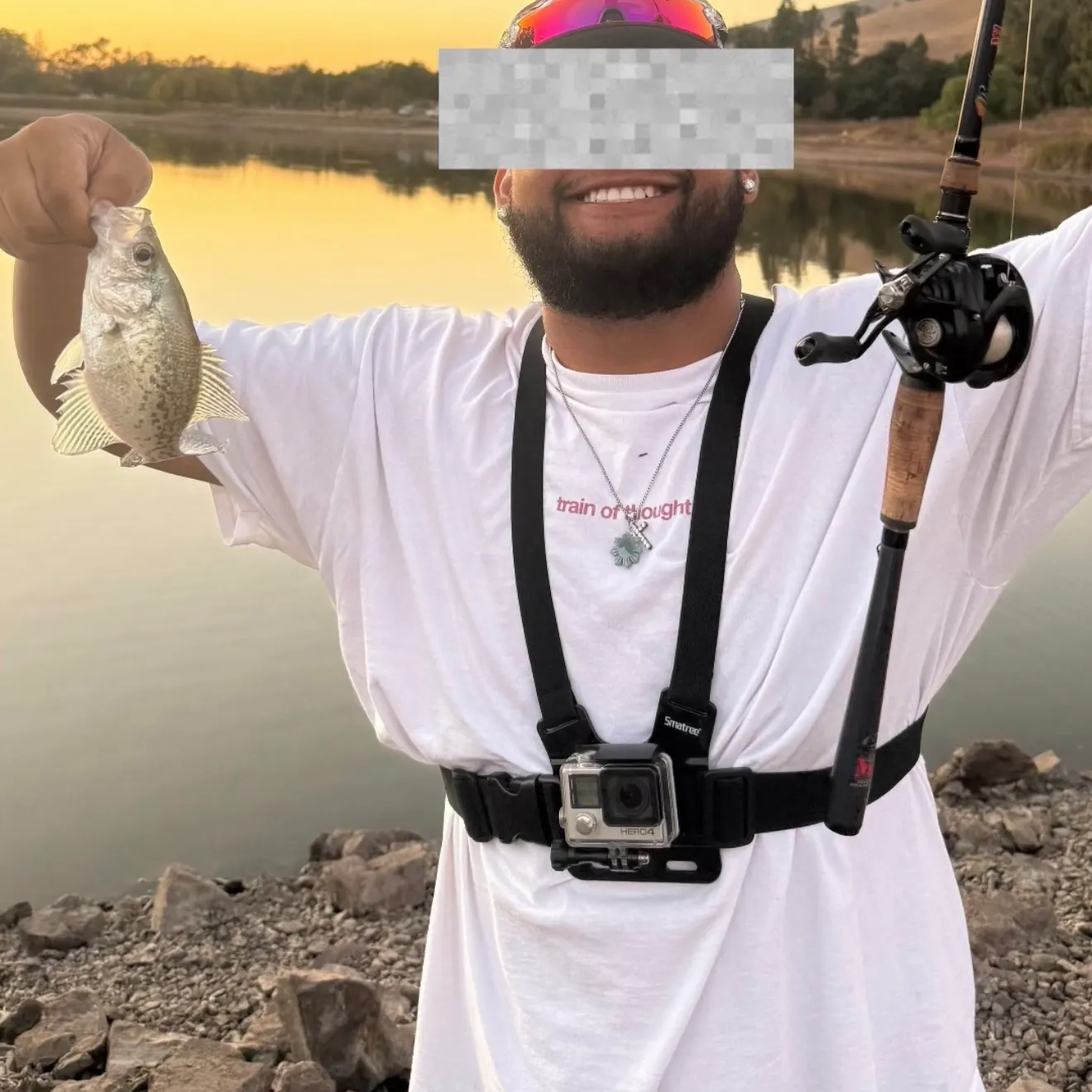 White crappie caught on Fishbrain