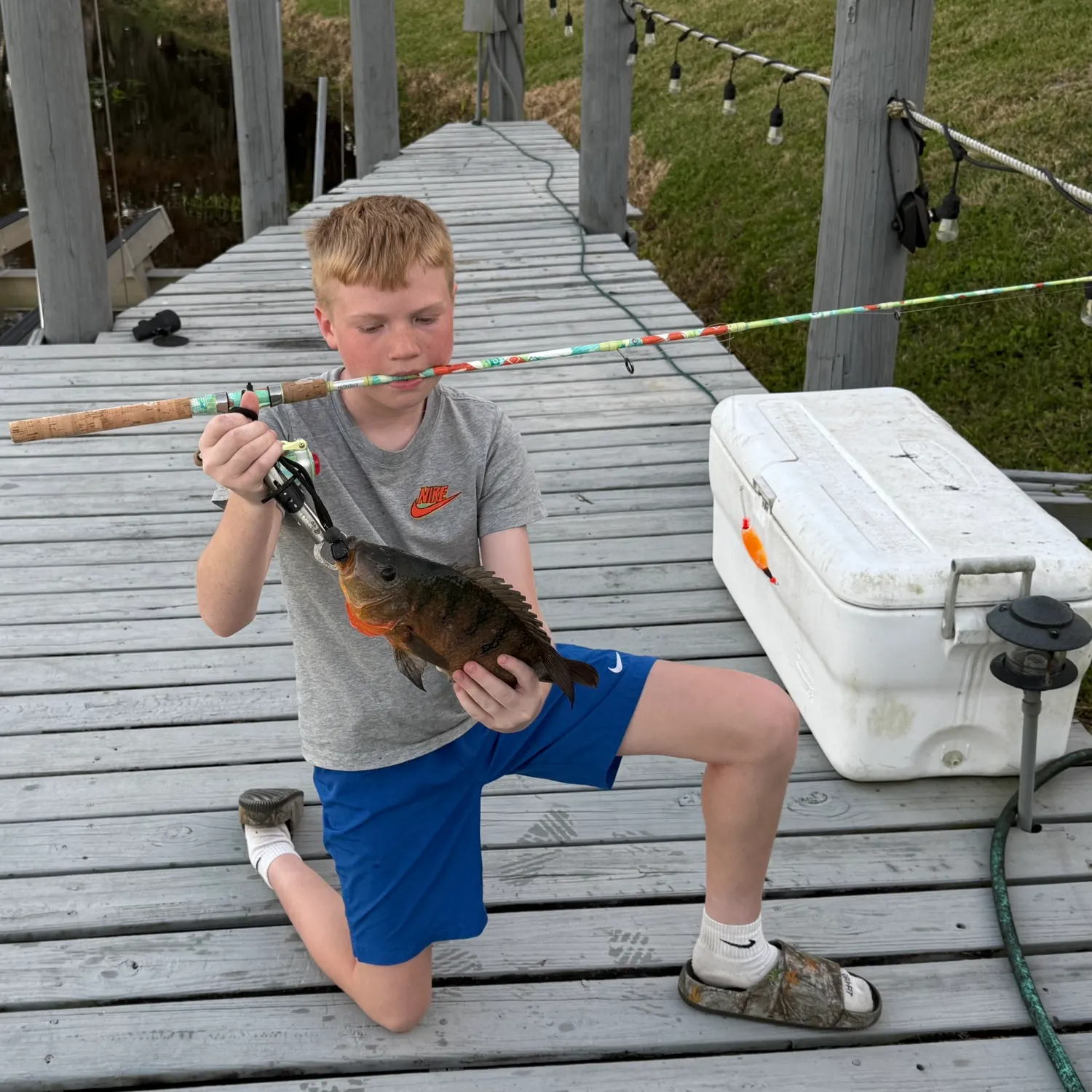 recently logged catches