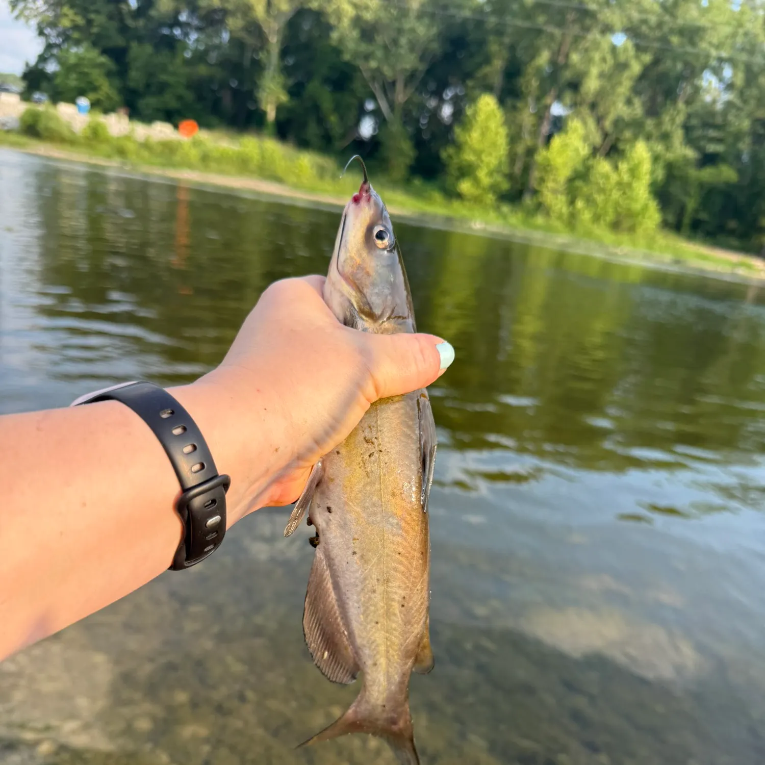 catch