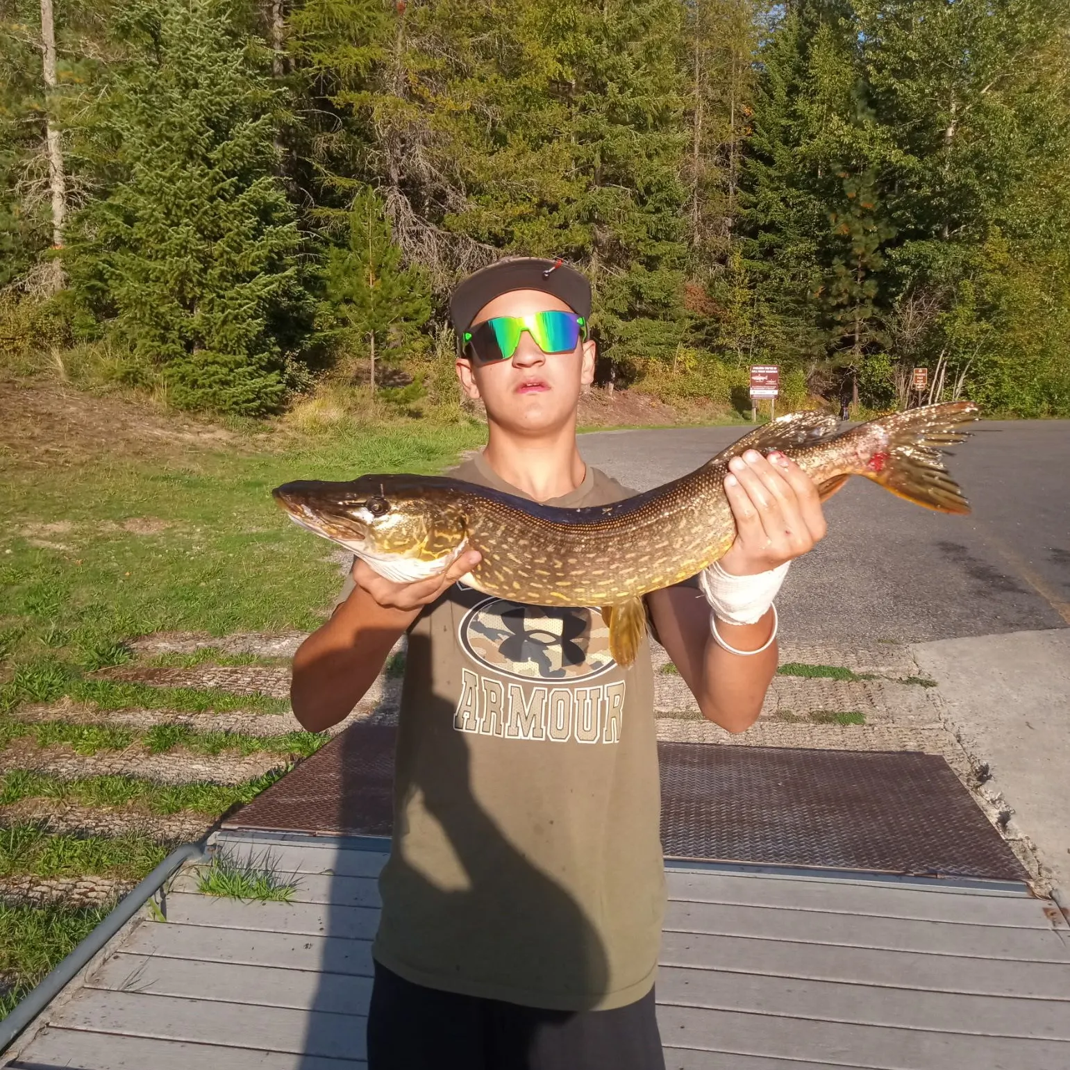 Northern pike caught on Fishbrain