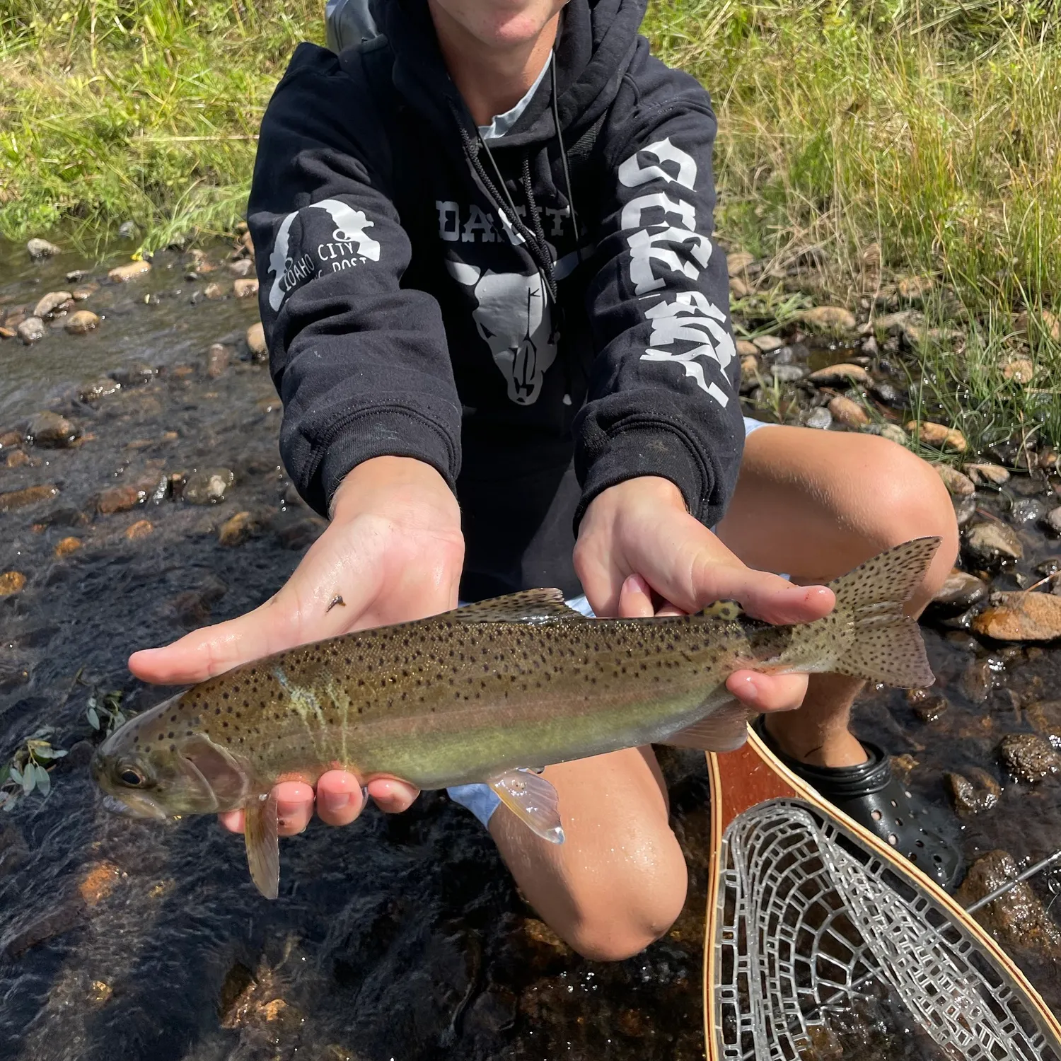 Rainbow trout caught on Fishbrain