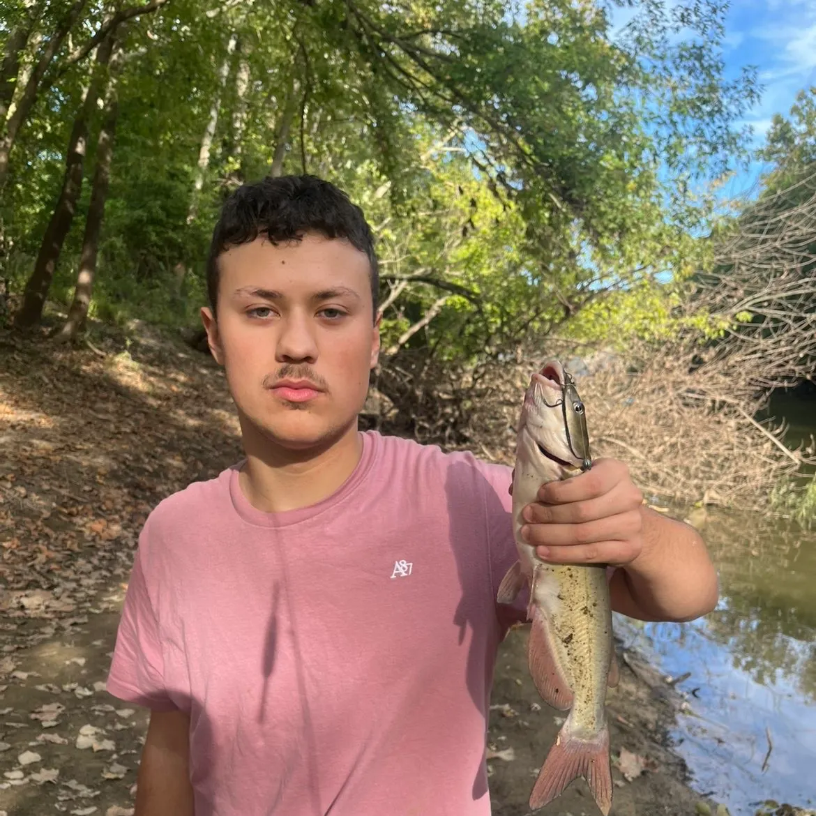 Channel catfish caught on Fishbrain