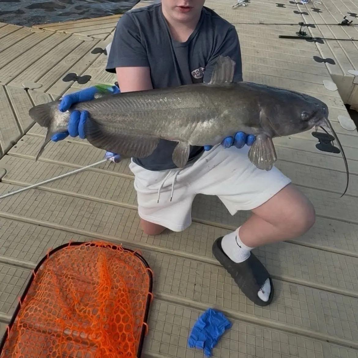 Channel catfish caught on Fishbrain