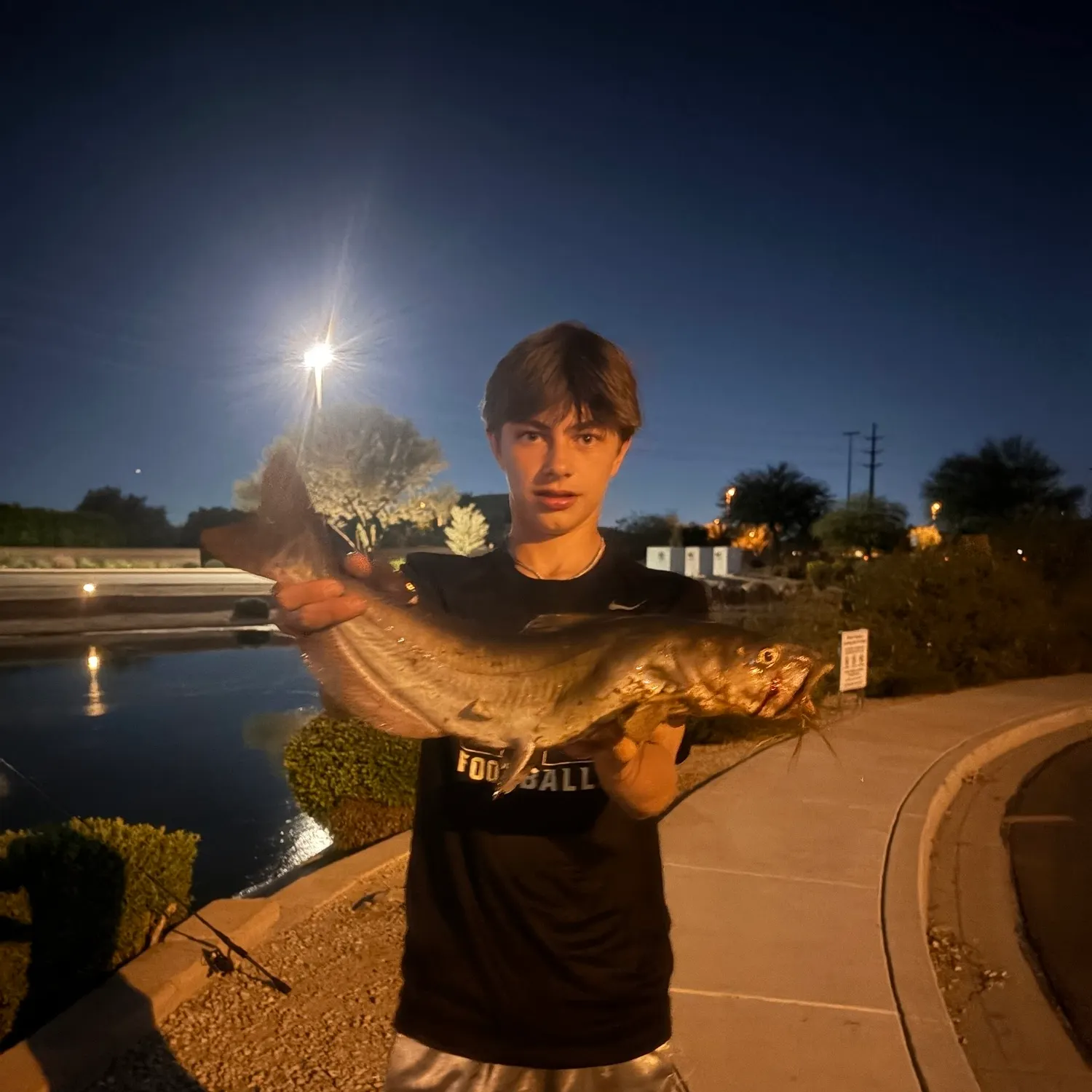 Channel catfish caught on Fishbrain