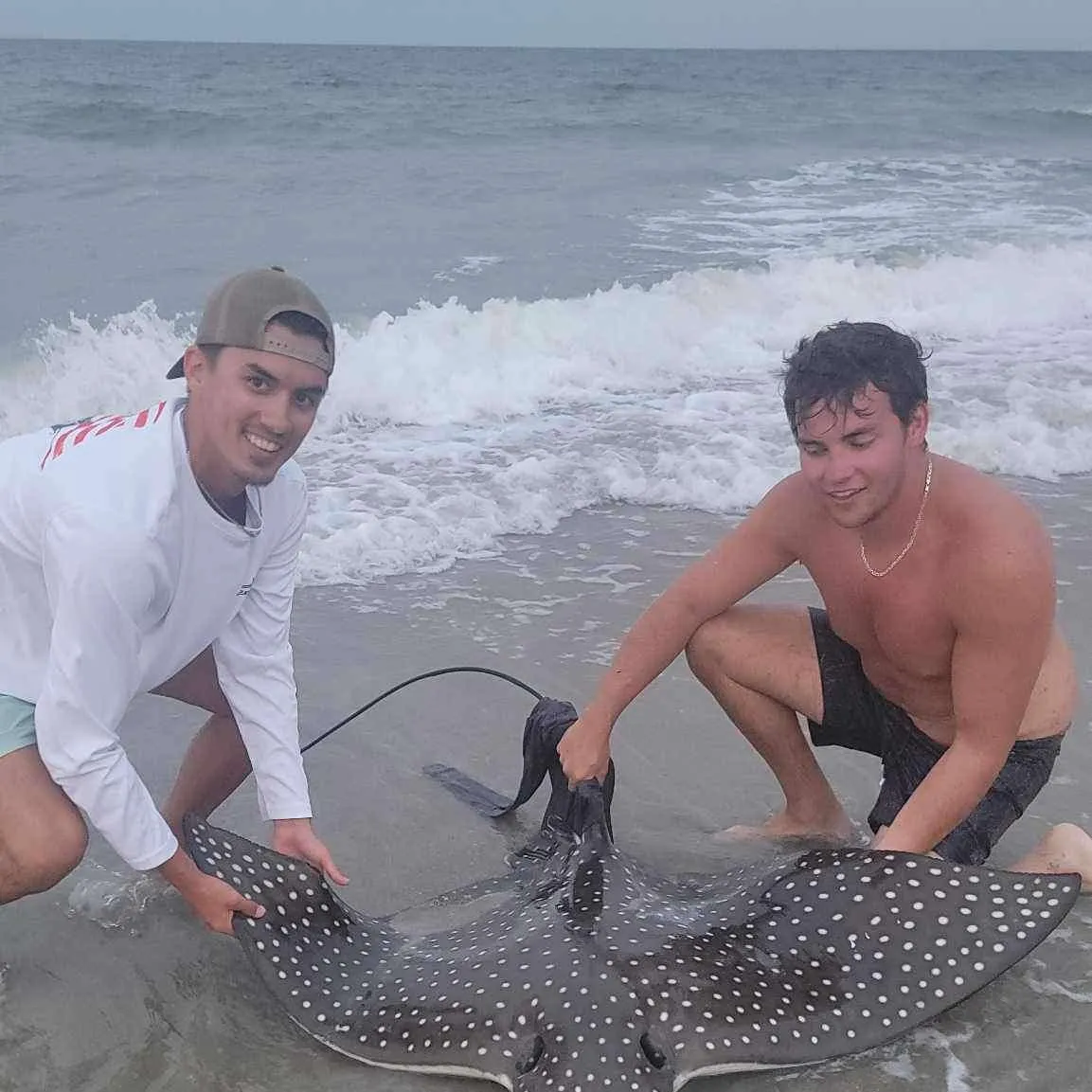 The most recent Common eagle ray catches on Fishbrain