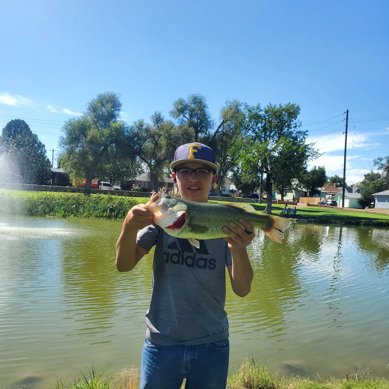 Largemouth bass caught on Fishbrain