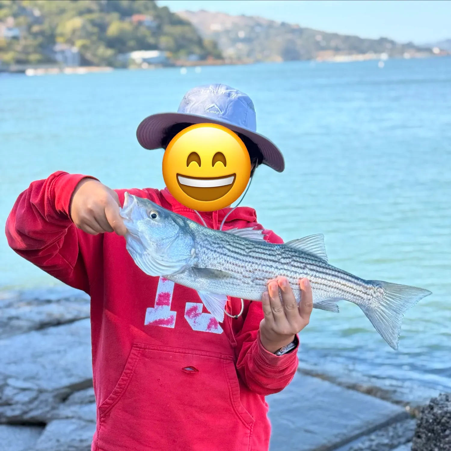Striped bass caught on Fishbrain