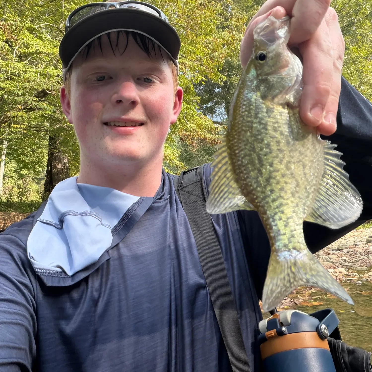 Black crappie caught on Fishbrain
