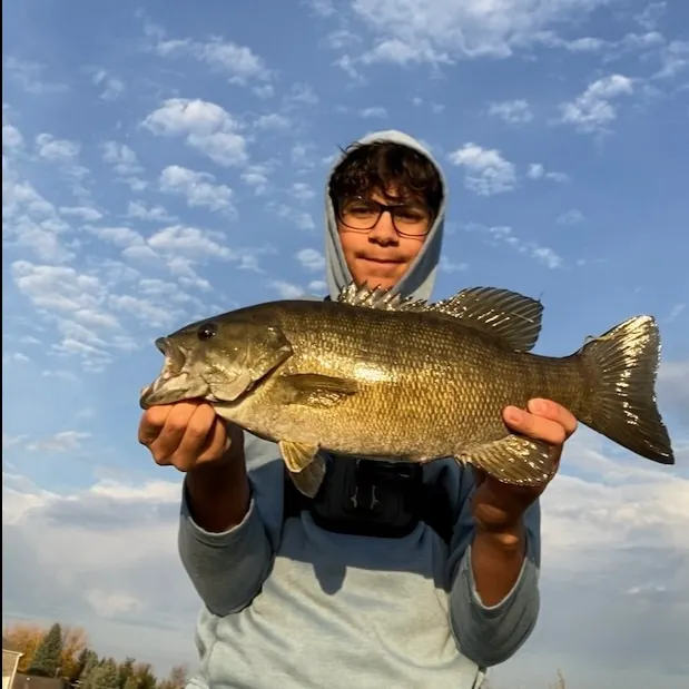 Smallmouth bass caught on Fishbrain