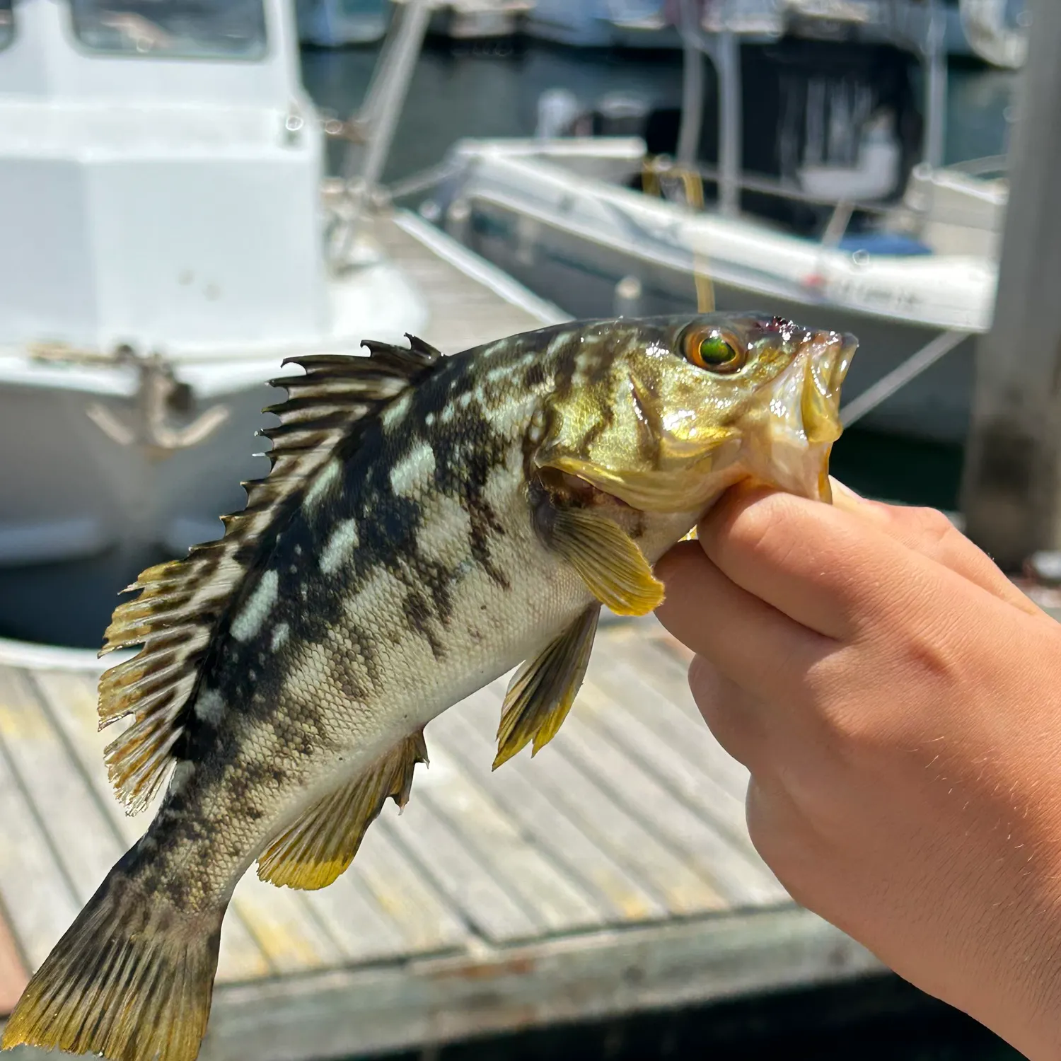 catch