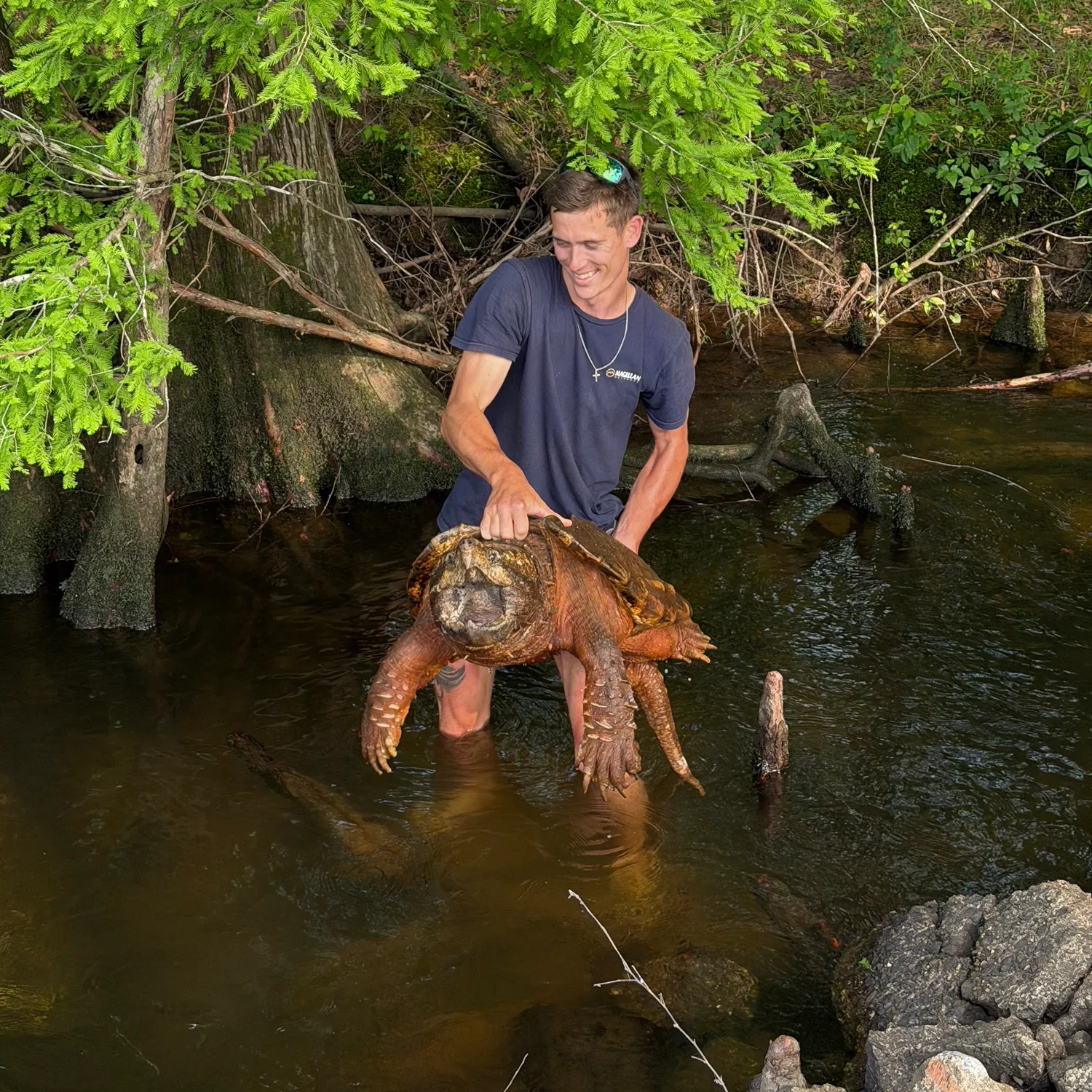 The most recent Alligator snapping turtle catches on Fishbrain