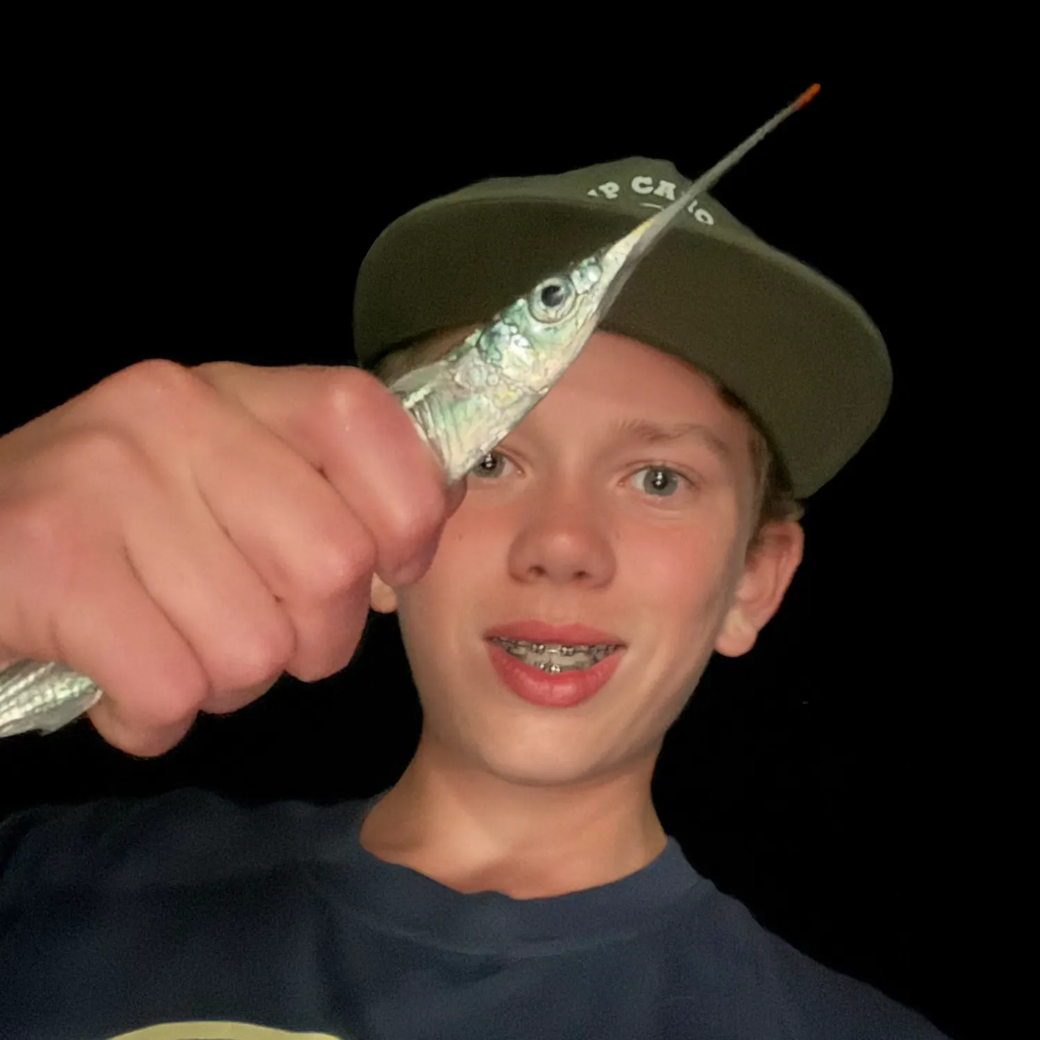 The most recent Atlantic needlefish catches on Fishbrain