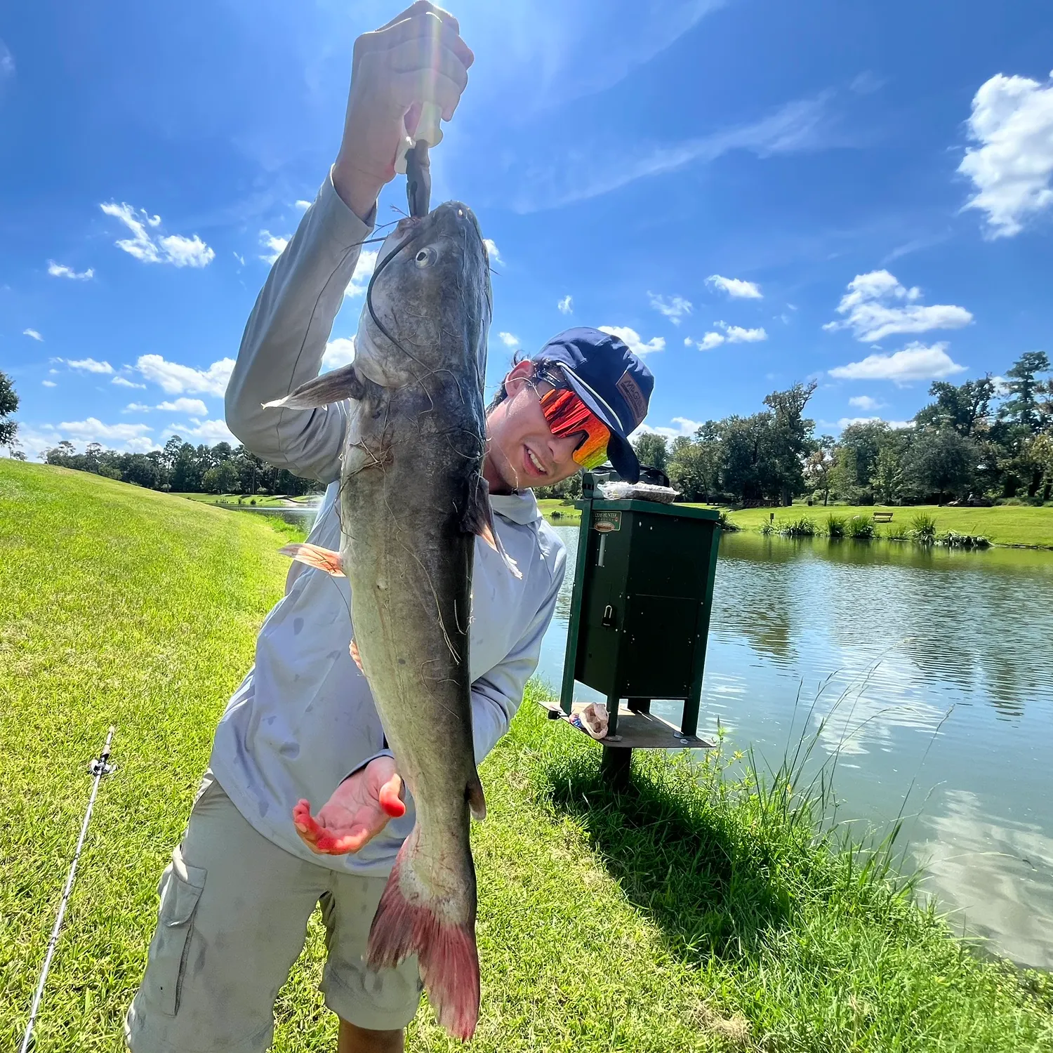 Channel catfish caught on Fishbrain