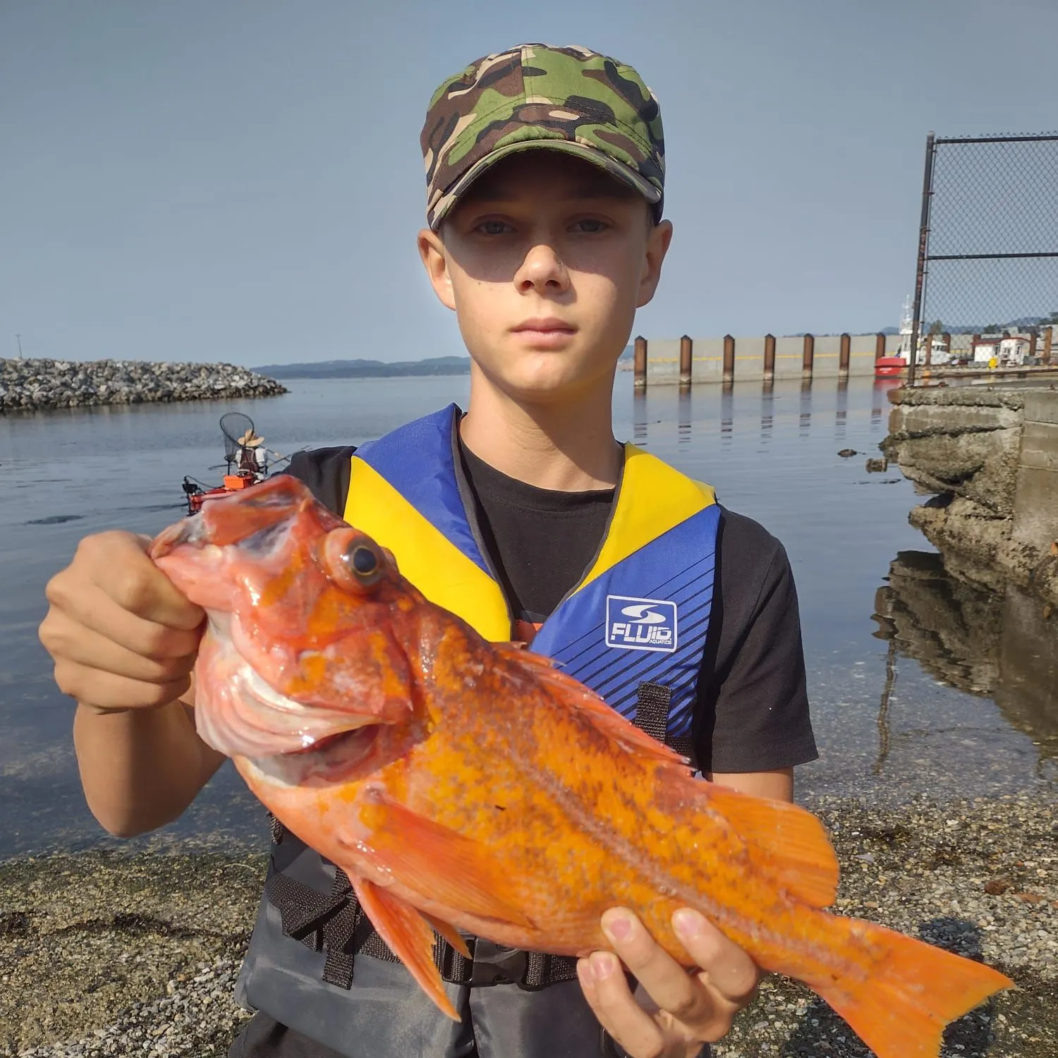 The most recent Canary rockfish catches on Fishbrain
