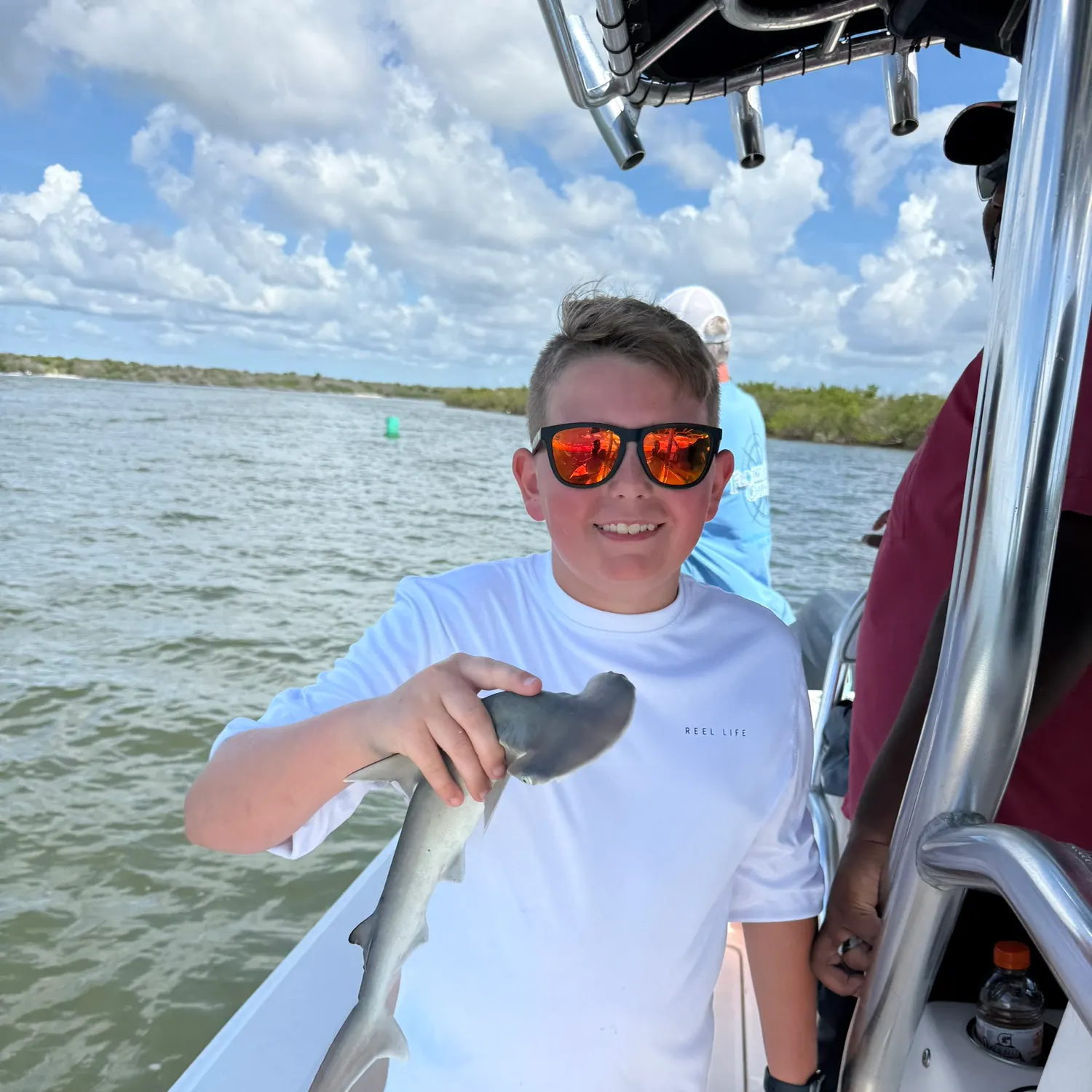 The most recent Scalloped hammerhead shark catches on Fishbrain