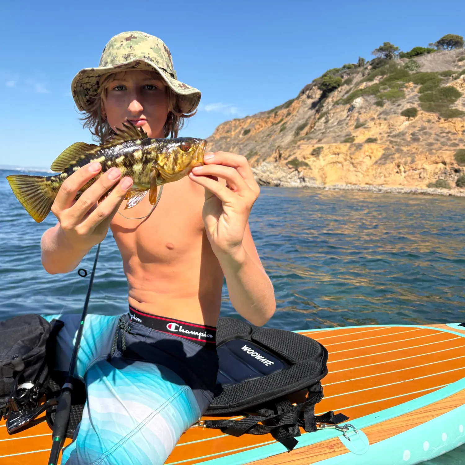 Kelp bass caught on Fishbrain
