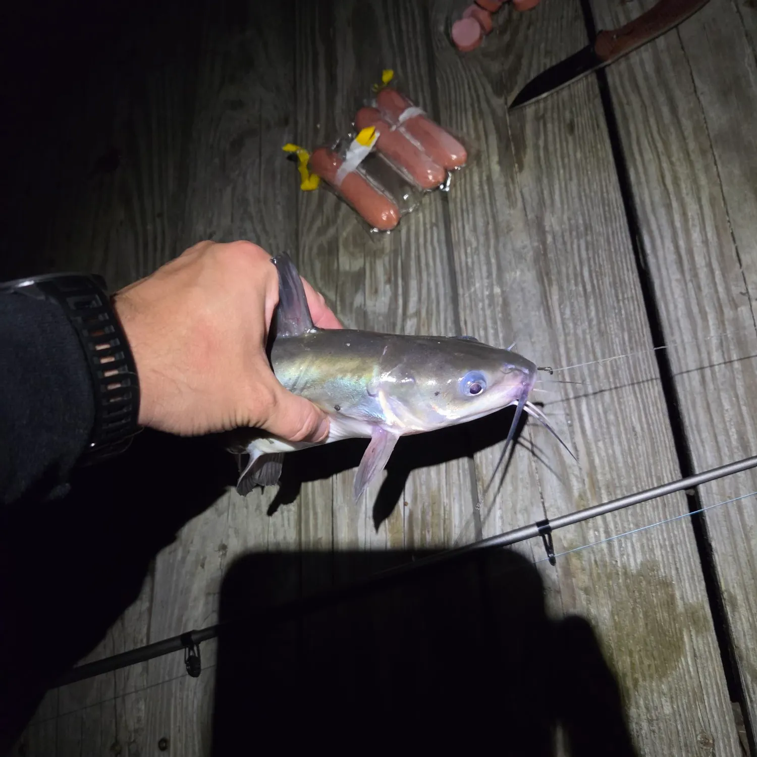 catch