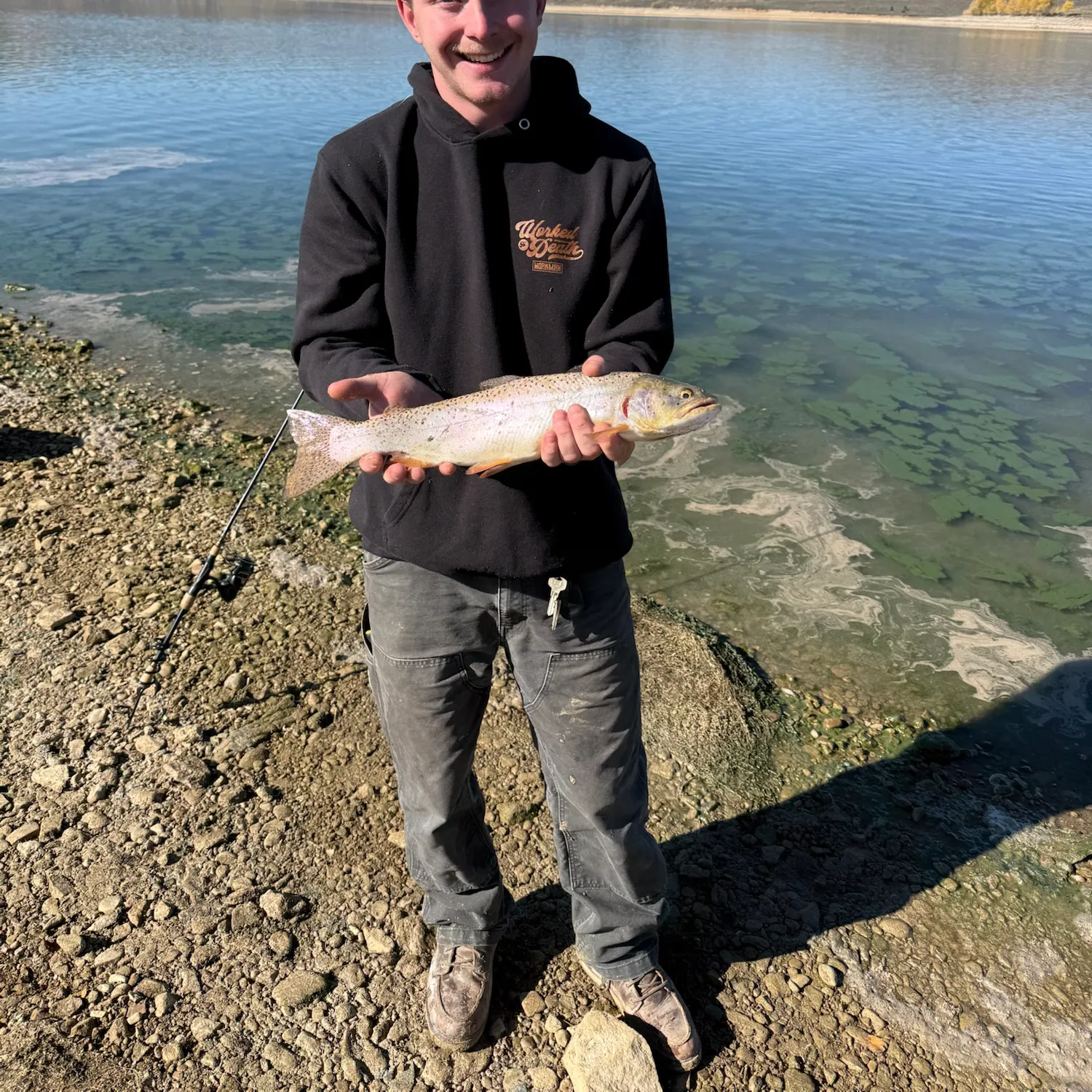 Cutthroat trout caught on Fishbrain