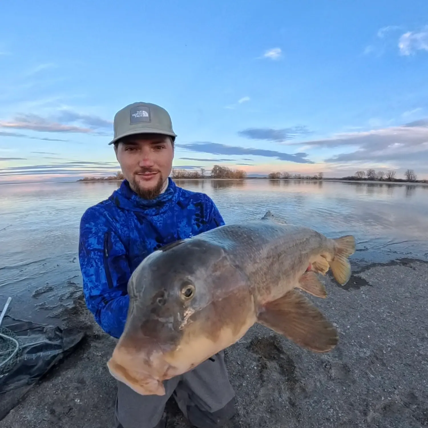 The most recent Largescale sucker catches on Fishbrain