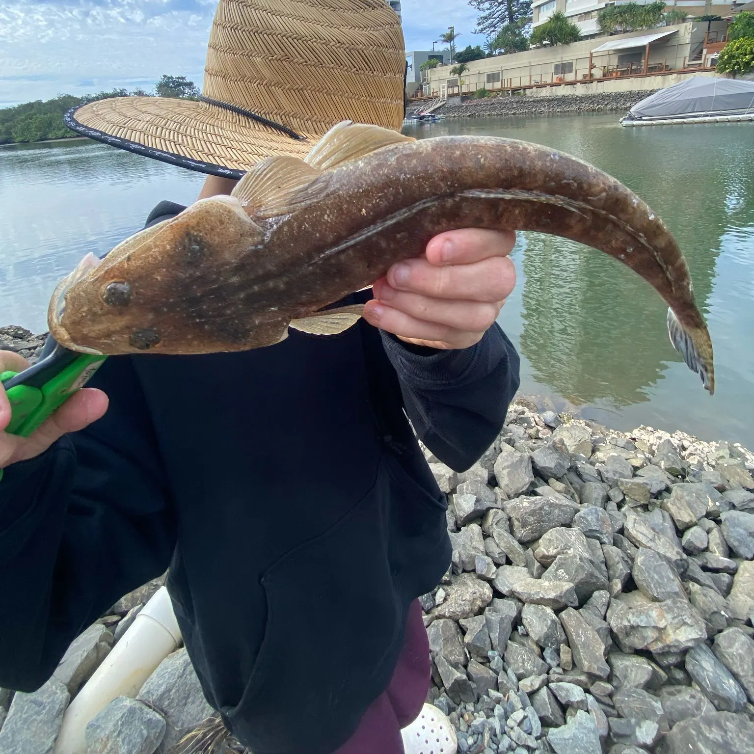 The most recent Dusky flathead catches on Fishbrain